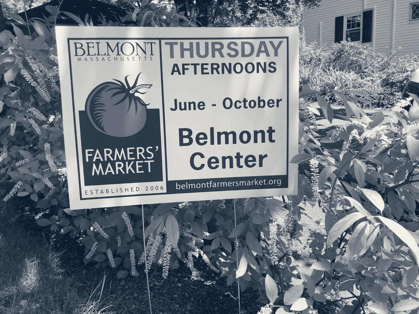 Belmont Printing Co. — Belmont, Massachusetts