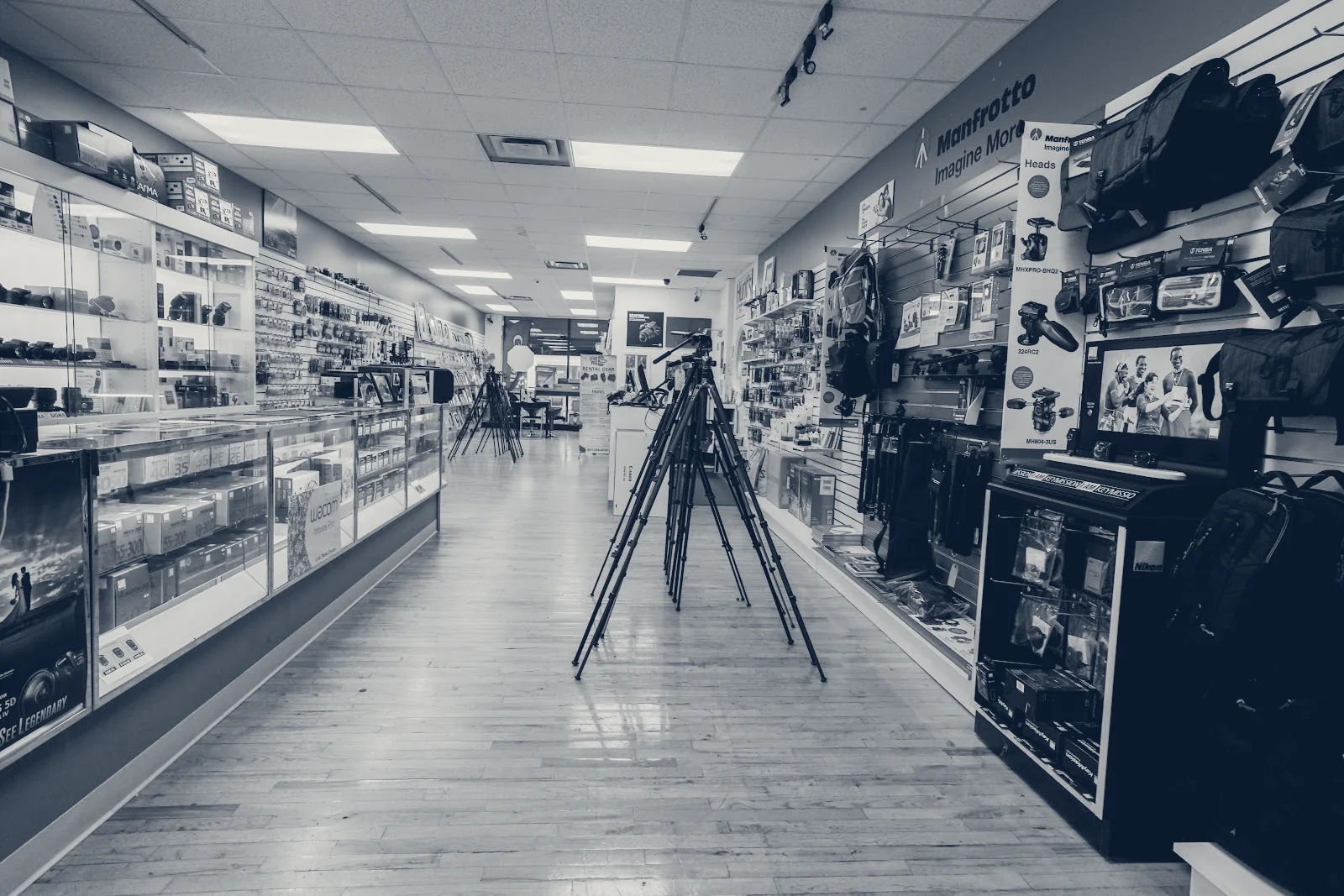 Hunt's Photo and Video — Cambridge, Massachusetts