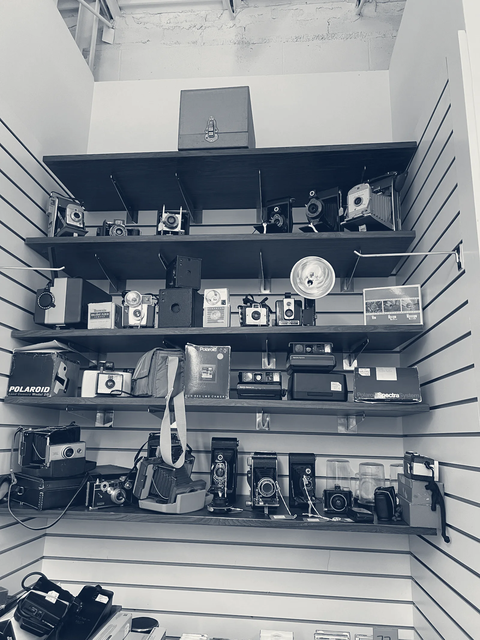 Hunt's Photo & Video — Waltham, Massachusetts