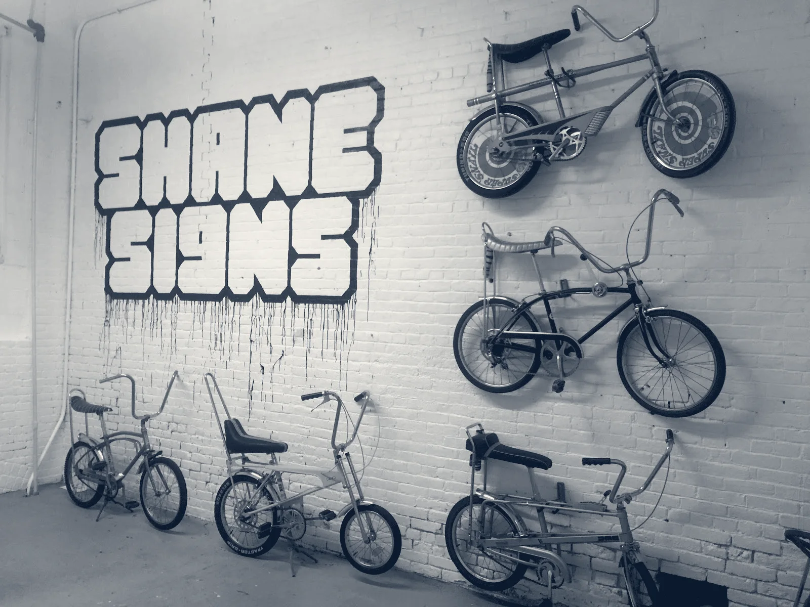 Shane Signs — Somerville, Massachusetts