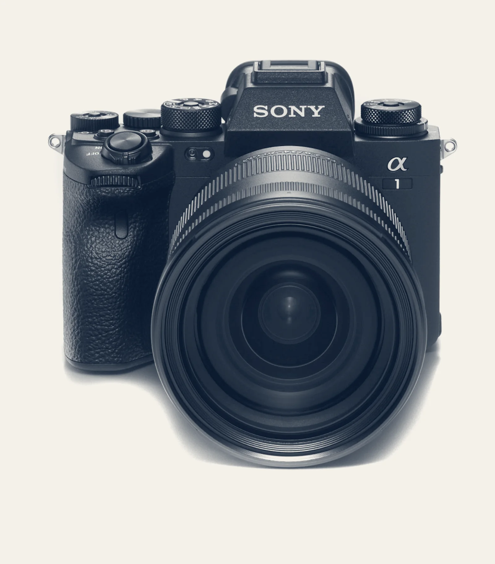 Concord Photo Service at Waban Photo — Waban, Massachusetts