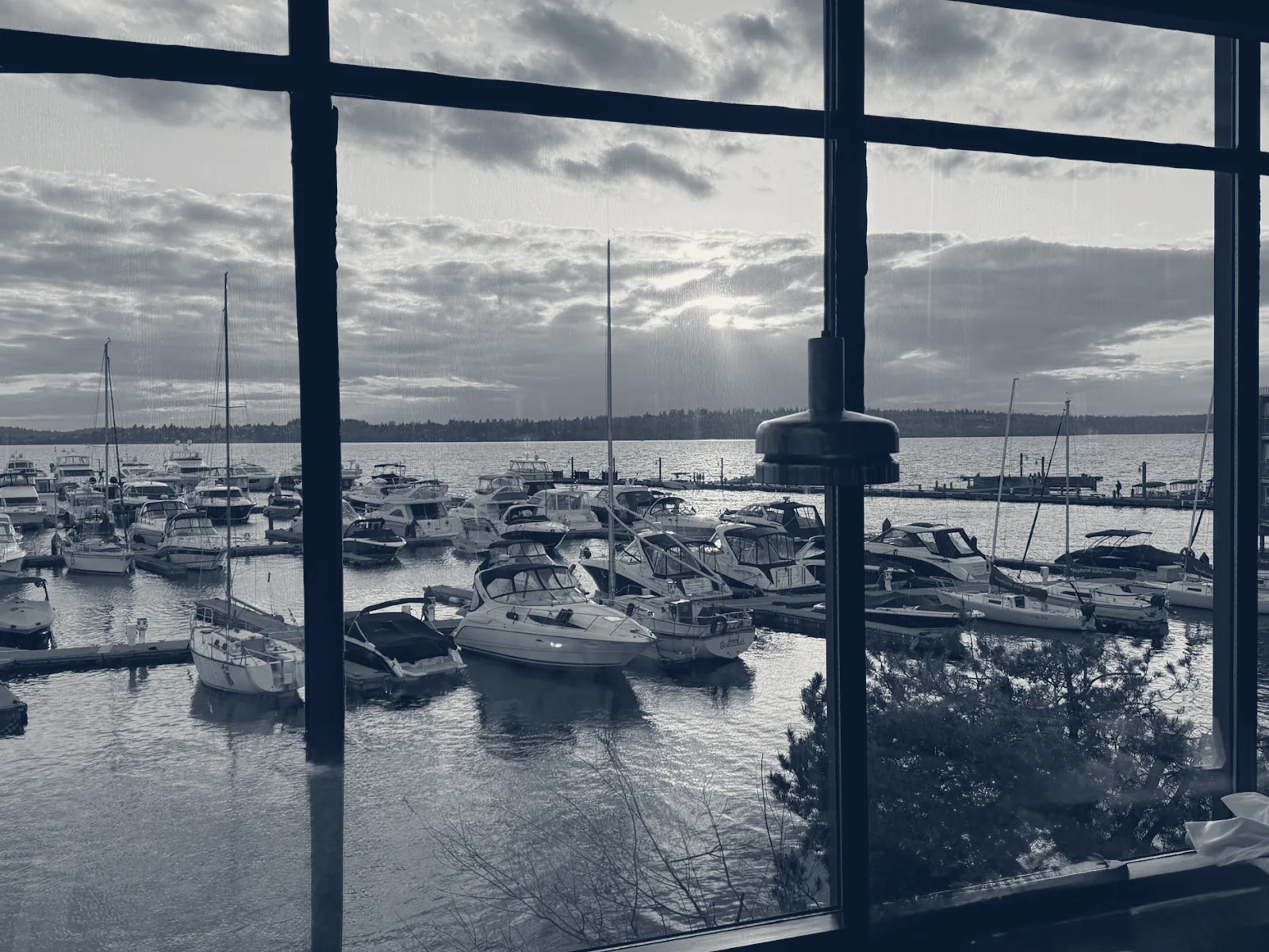 Anthony's Restaurants - Corporate Office — Kirkland, Washington