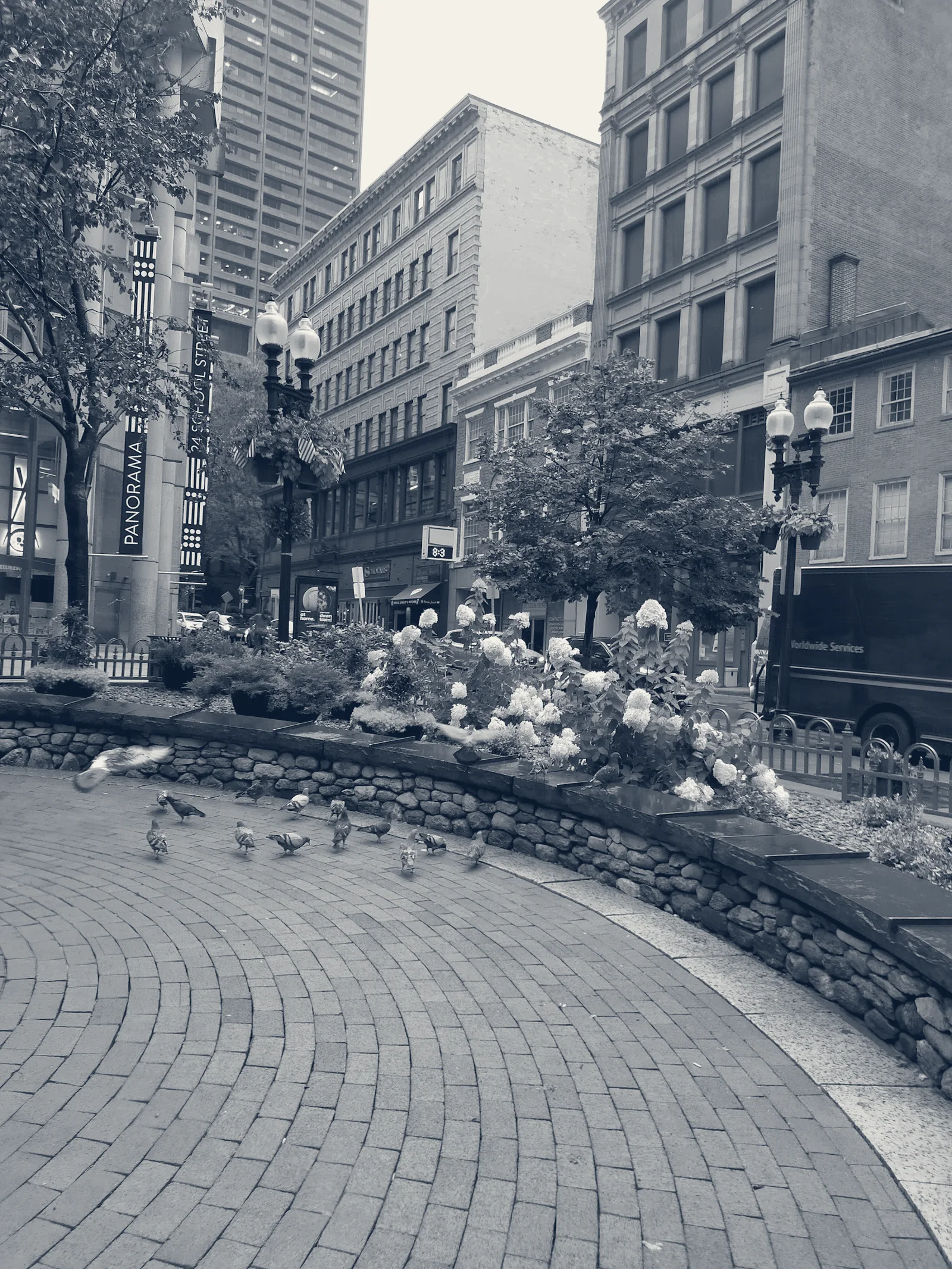 Walgreens Photo — Boston, Massachusetts
