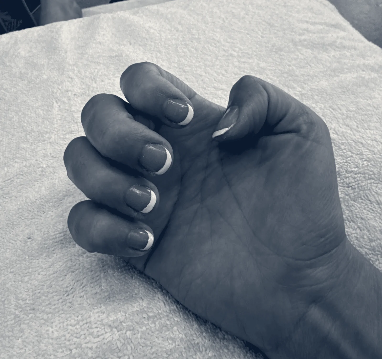 Lavender Dream Nails — Walnut Creek, California