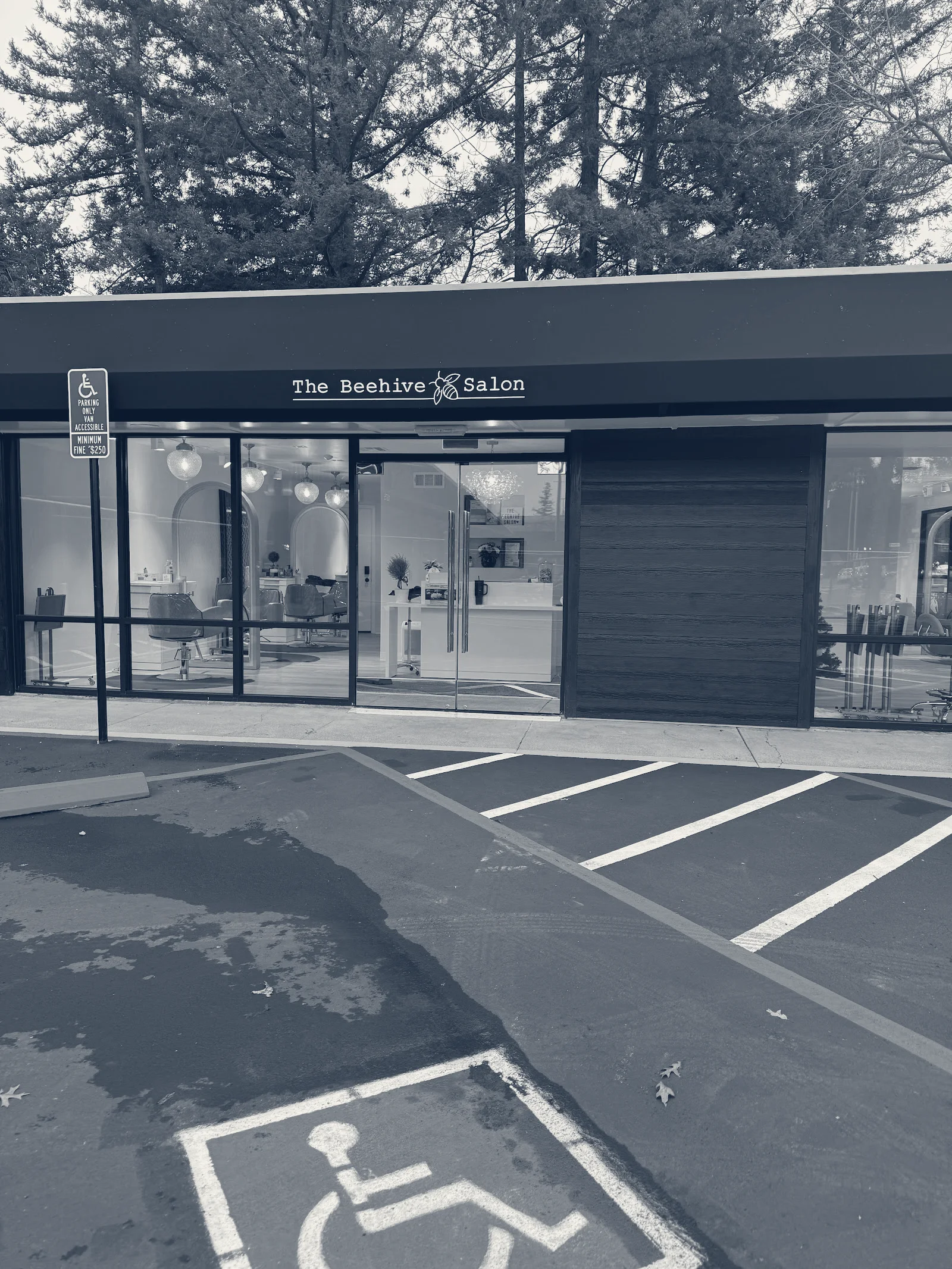 The Beehive Salon — Walnut Creek, California