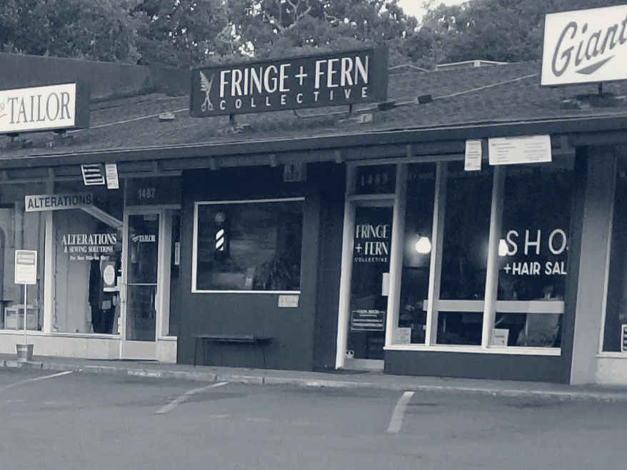 Fringe & Fern Collective — Walnut Creek, California
