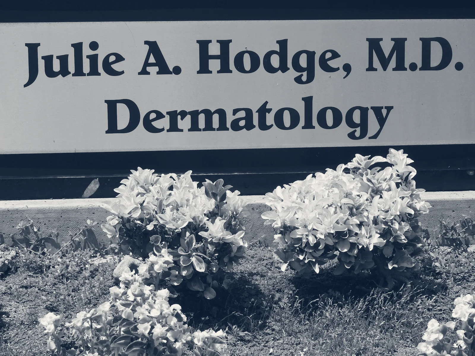 Hodge Dermatology — Fullerton, California