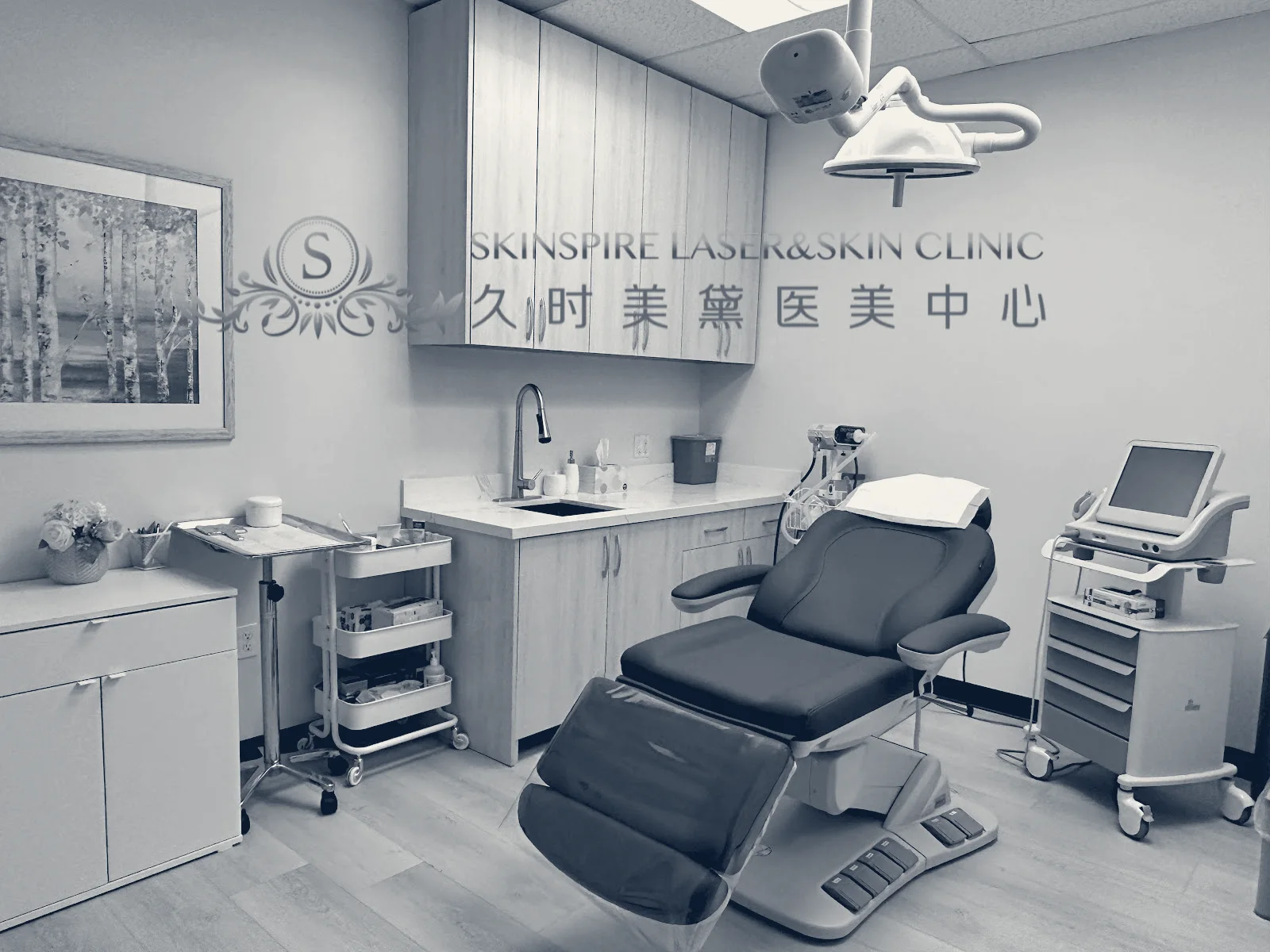 Skinspire Laser&Skin Clinic 久时美黛医美中心 - Irvine — Irvine, California