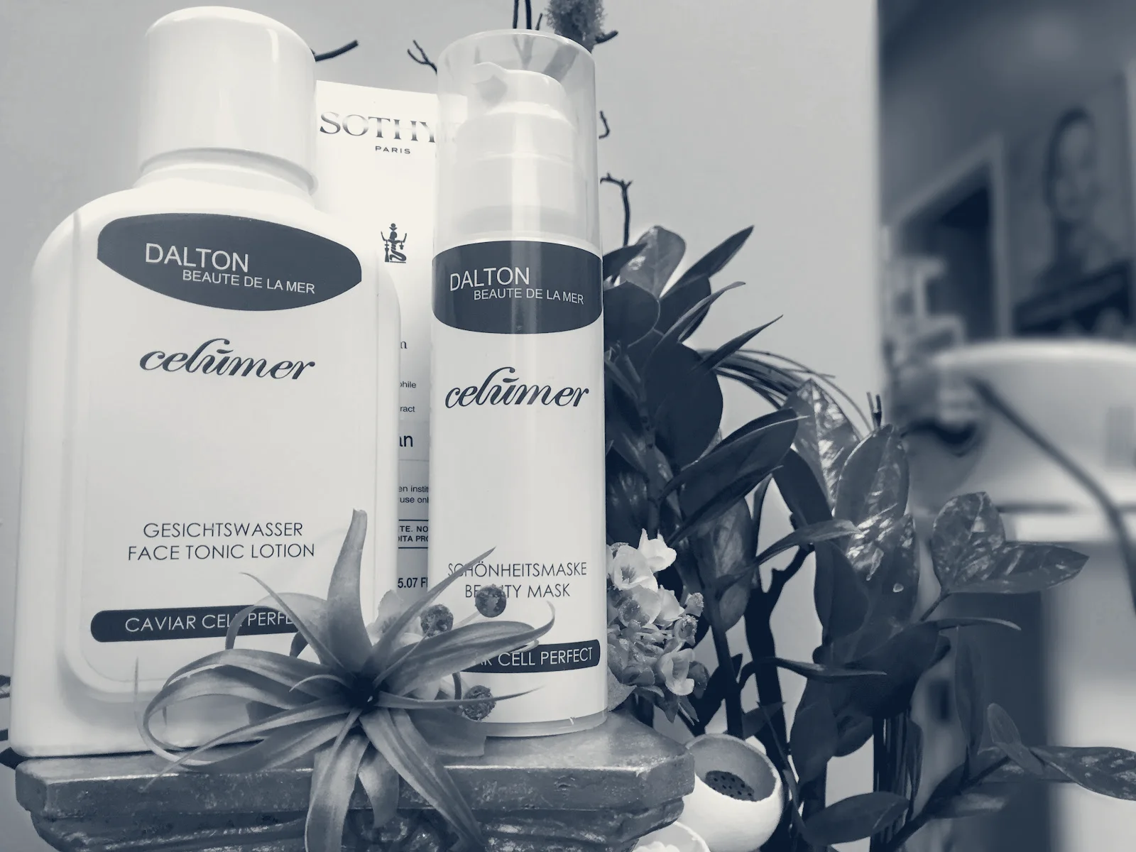 Olive Skin Care — Buena Park, California