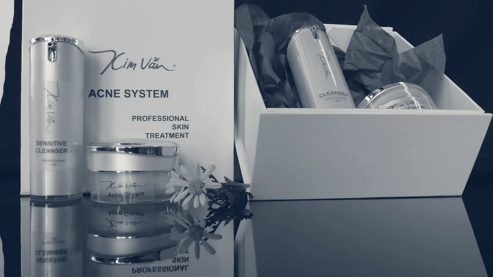 KIM VAN AESTHETICS, INC — Garden Grove, California
