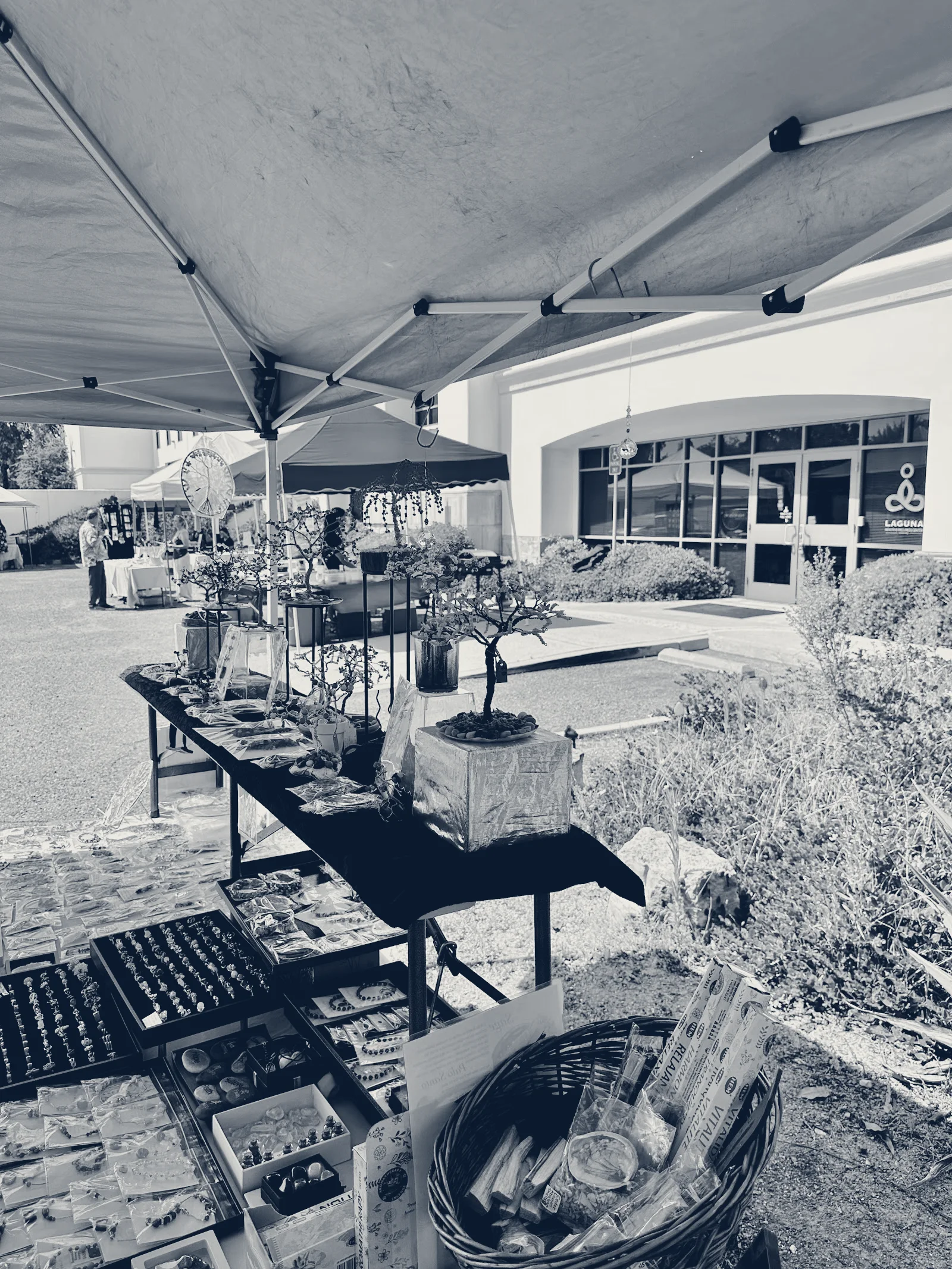 Laguna Health & Wellness Center — Laguna Woods, California