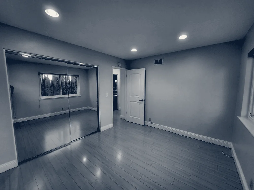 Pro Style Color Painter Sol — Los Angeles, California