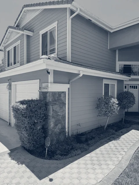 Mint Condition Painting — Santa Clarita, California