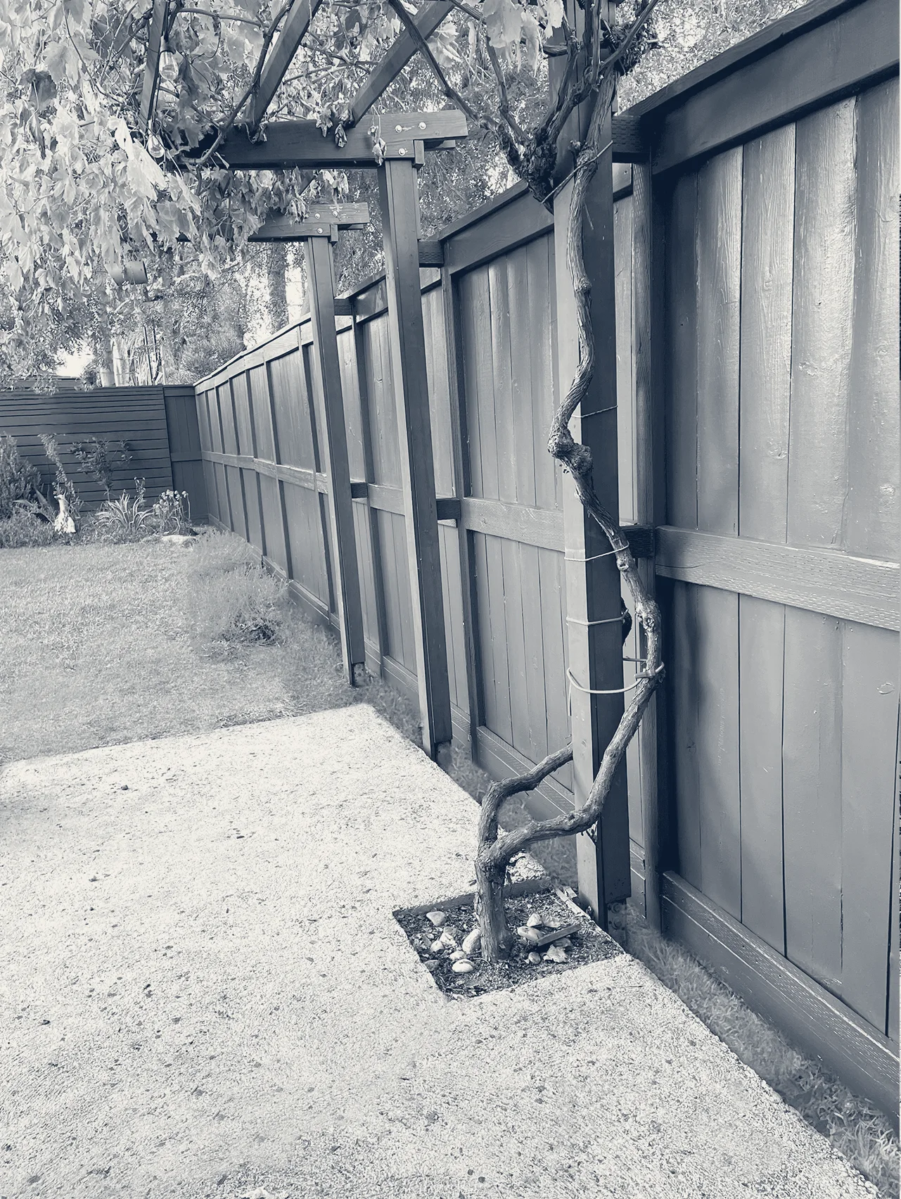 Tenacious Touchups — North Hollywood, California