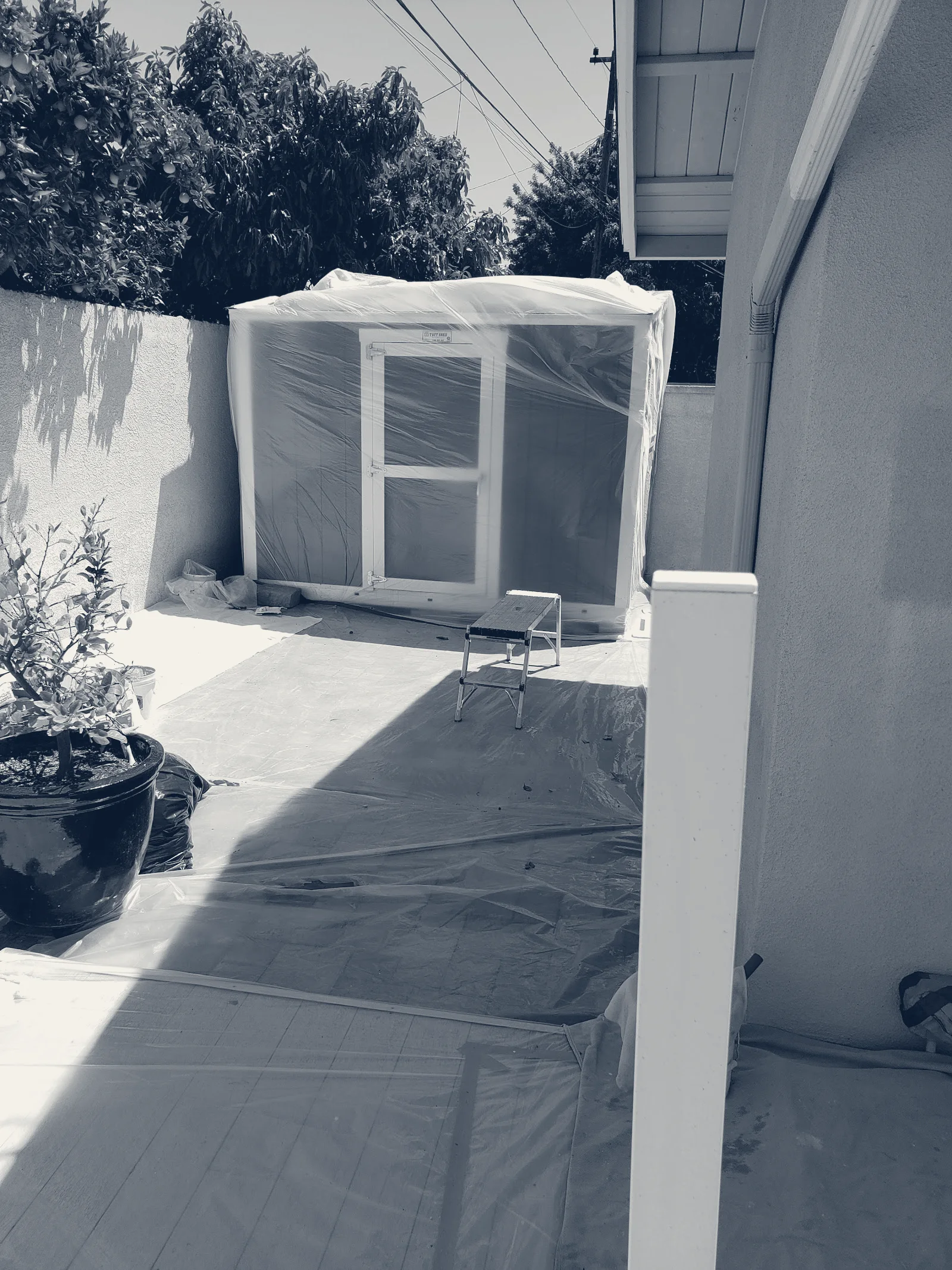 Negrini Painting — Long Beach, California