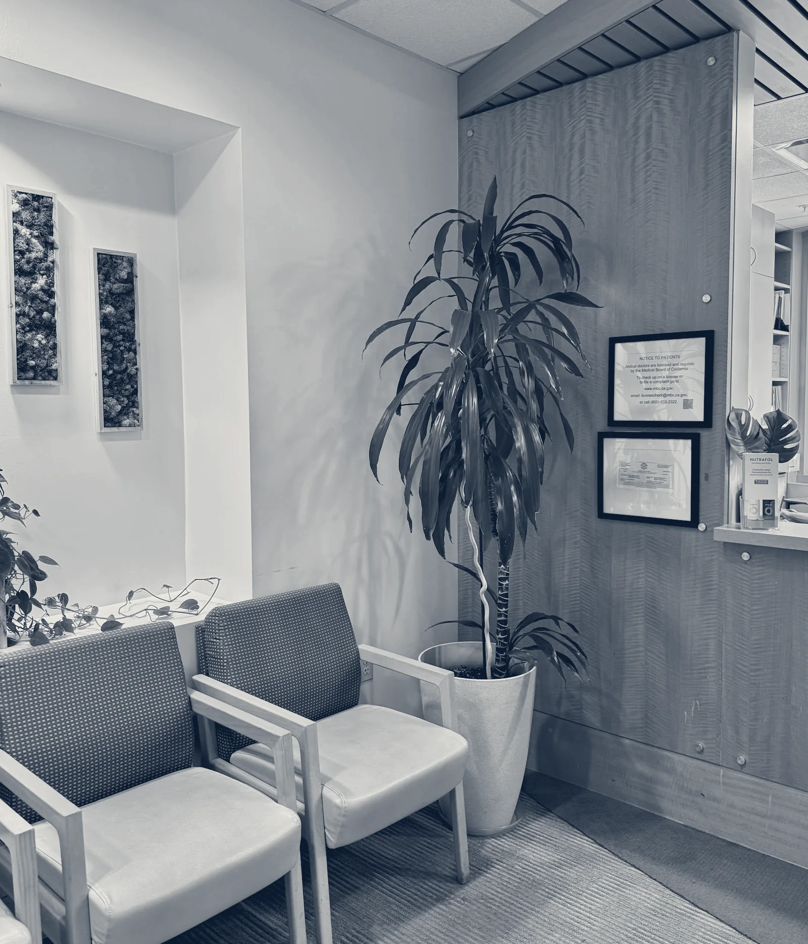 Apollo Health Care Center — Mountain View, California