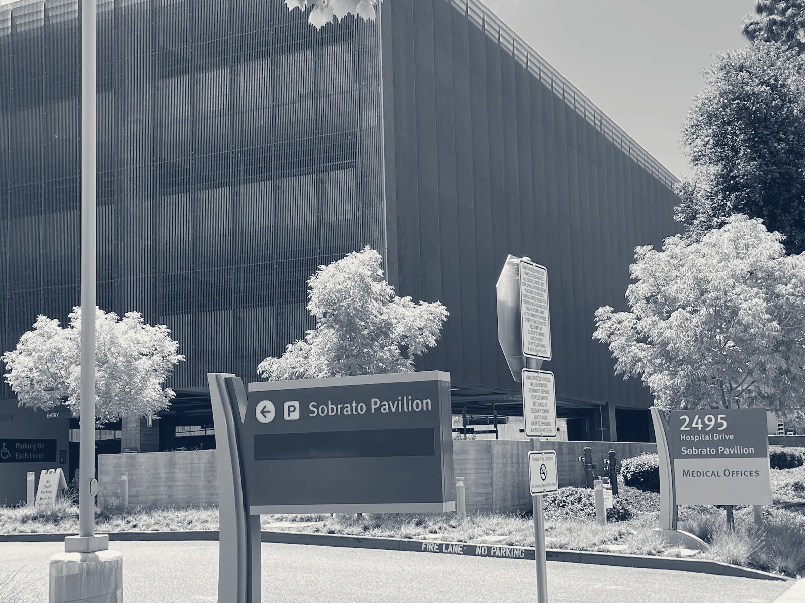 Specialty Care Sobrato - El Camino Health — Mountain View, California
