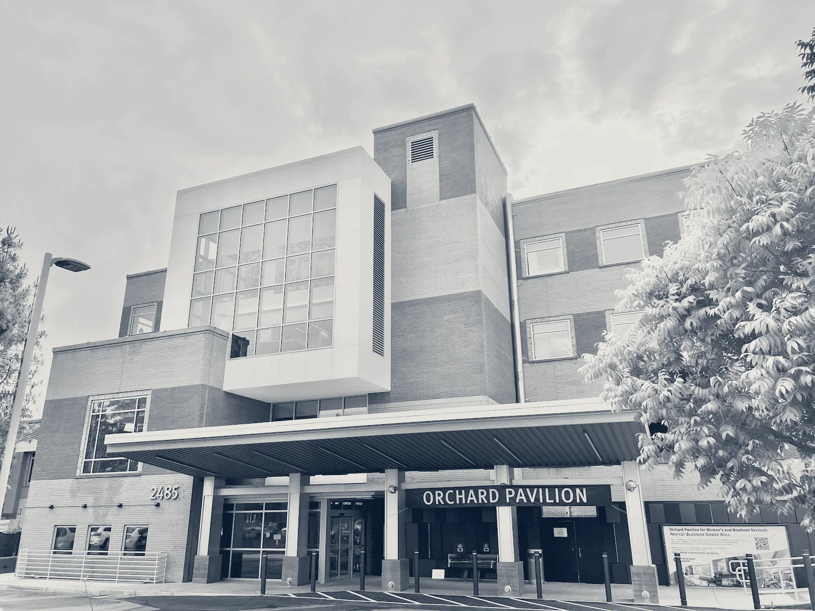 Mother-Baby Health - El Camino Health — Mountain View, California