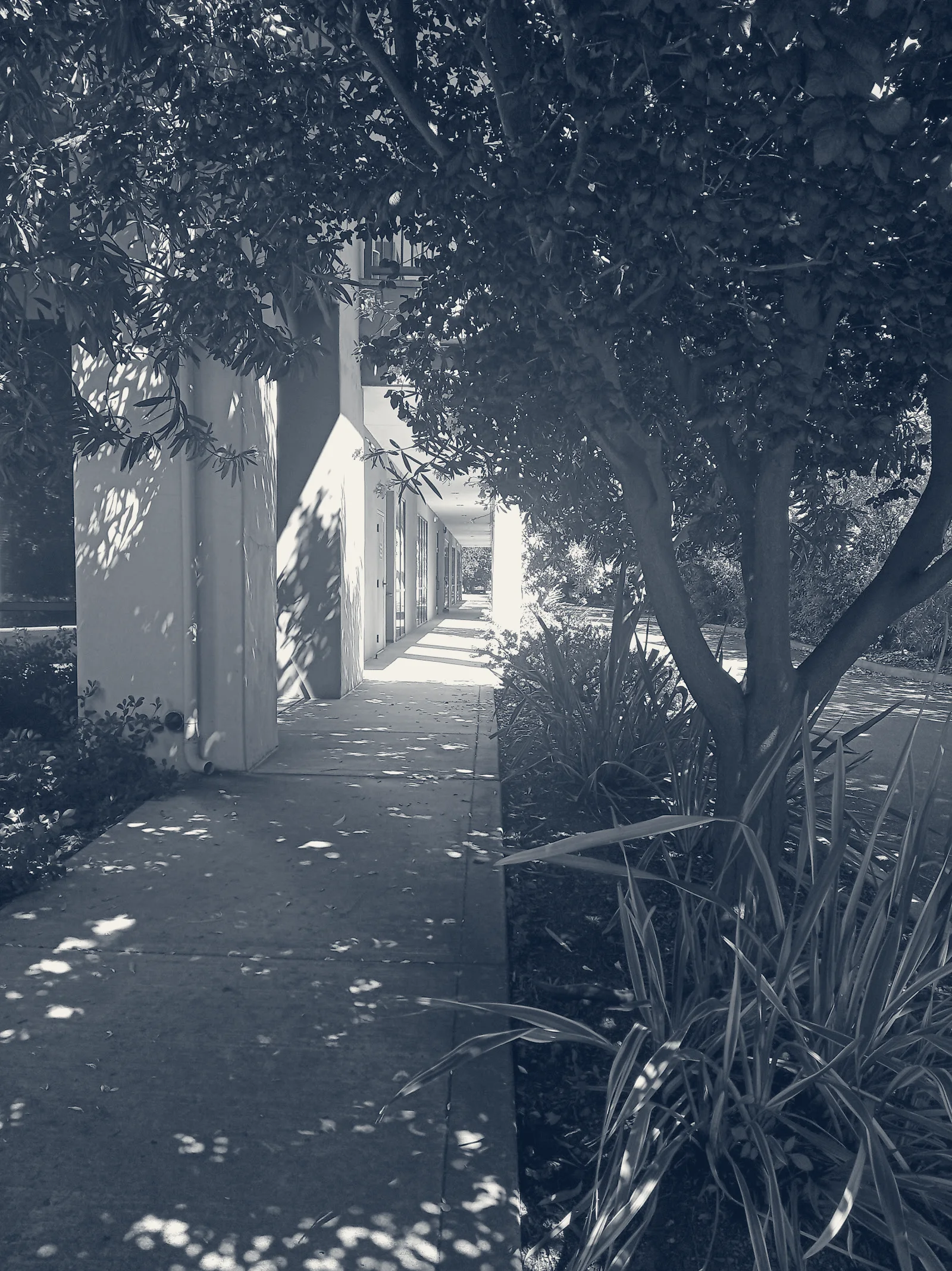 Social Security Administration — Mountain View, California