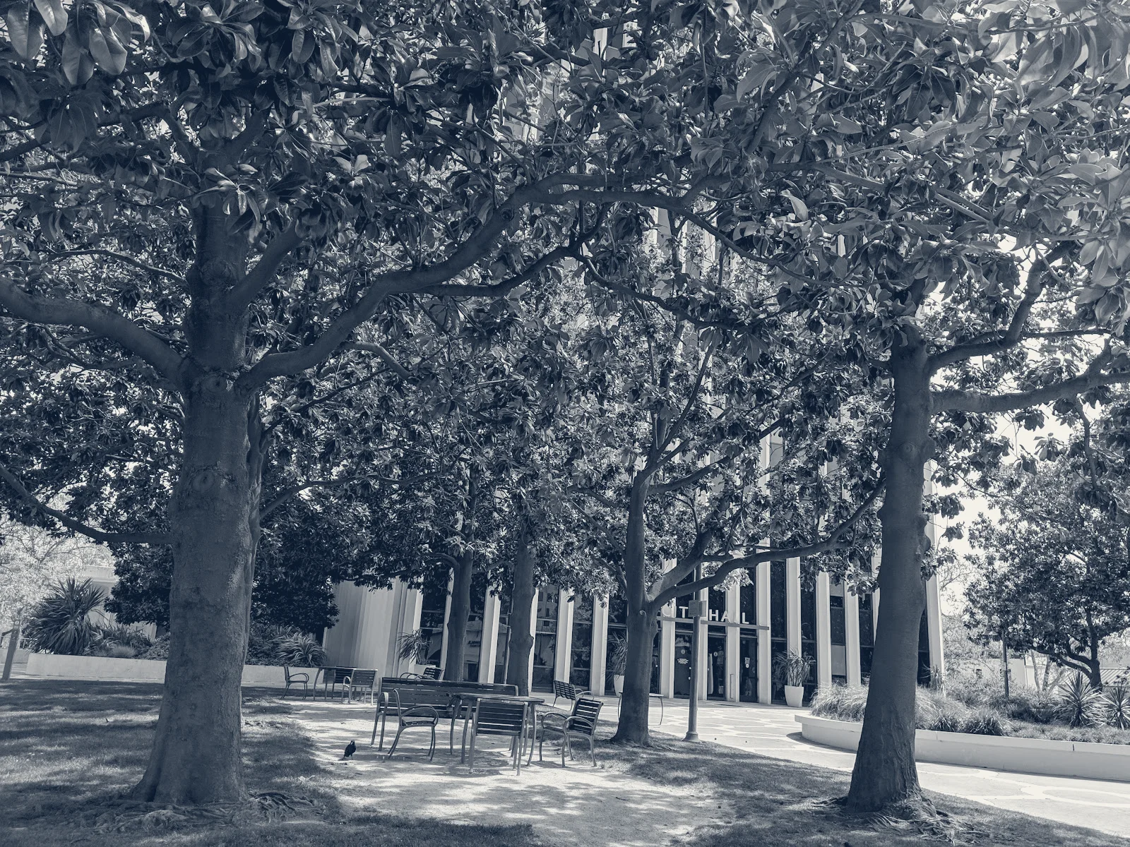 City of Palo Alto City Hall — Palo Alto, California