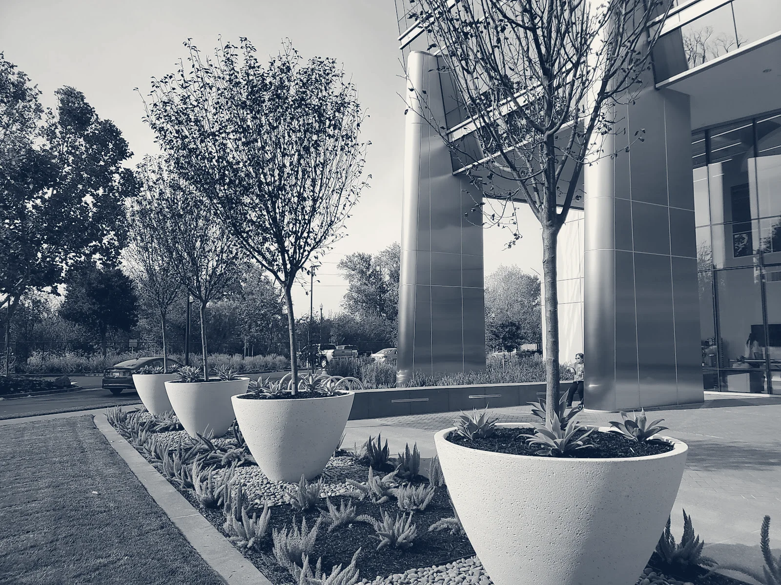 Santa Clara County Social Services Agency — San Jose, California