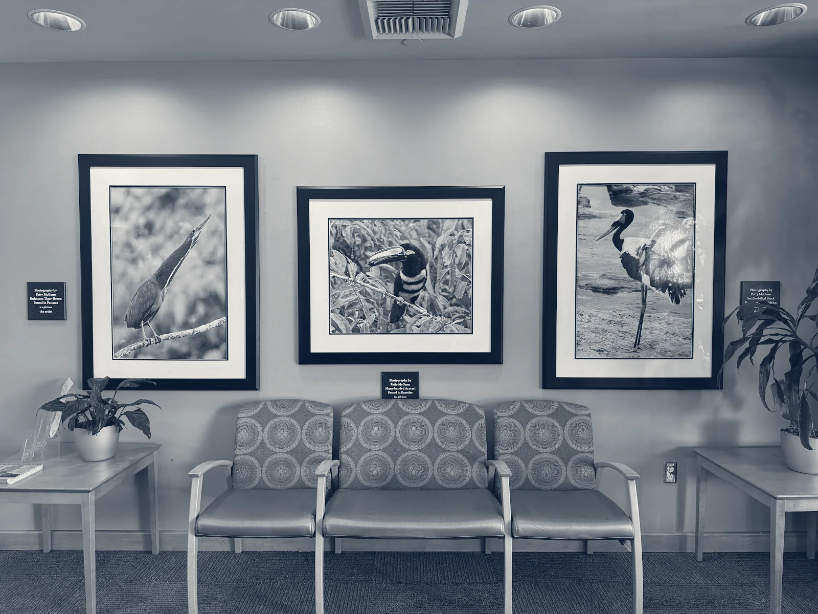 Palo Alto Medical Foundation Los Altos Center — Los Altos, California