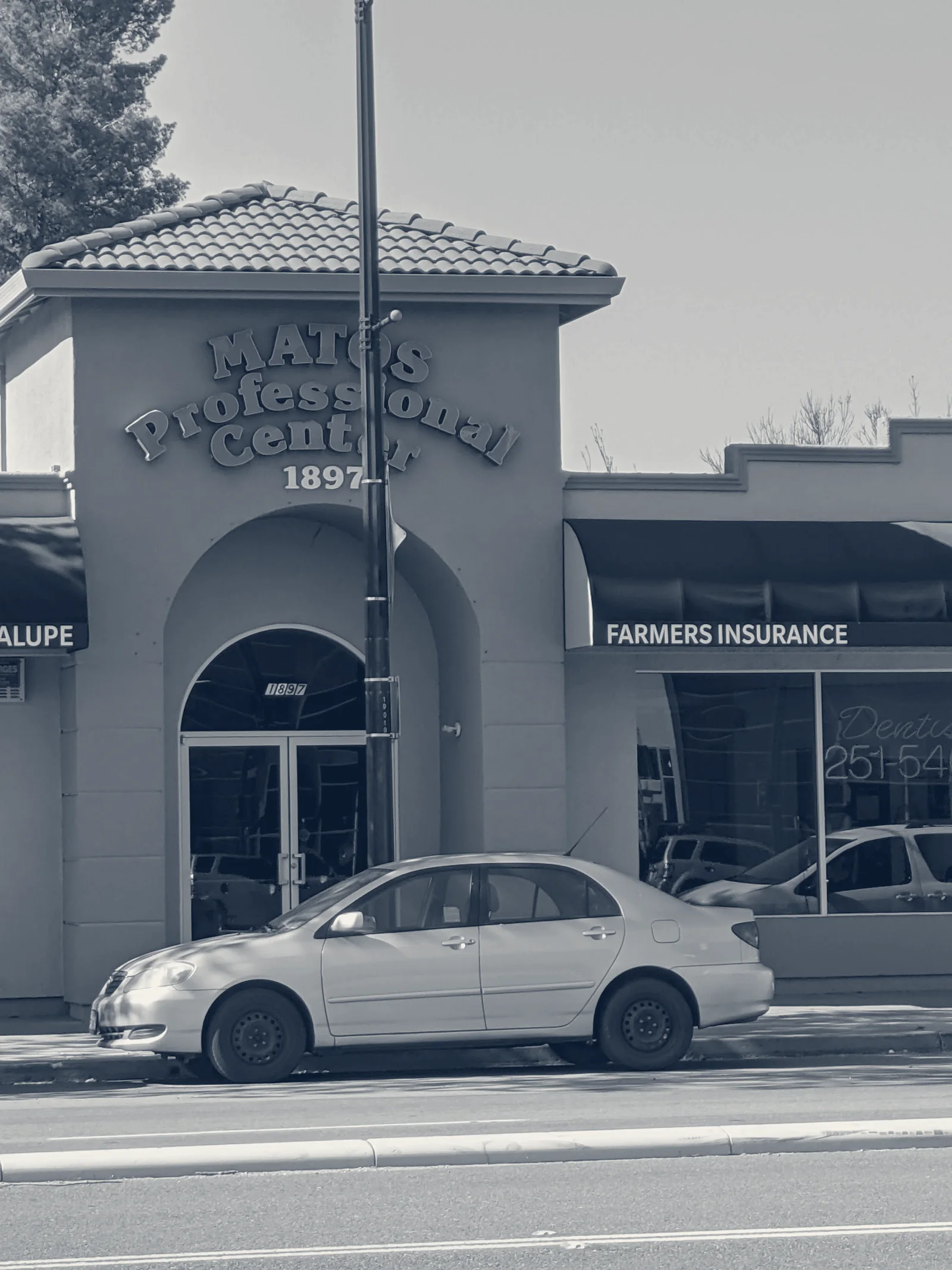 Amigos de Guadalupe — San Jose, California