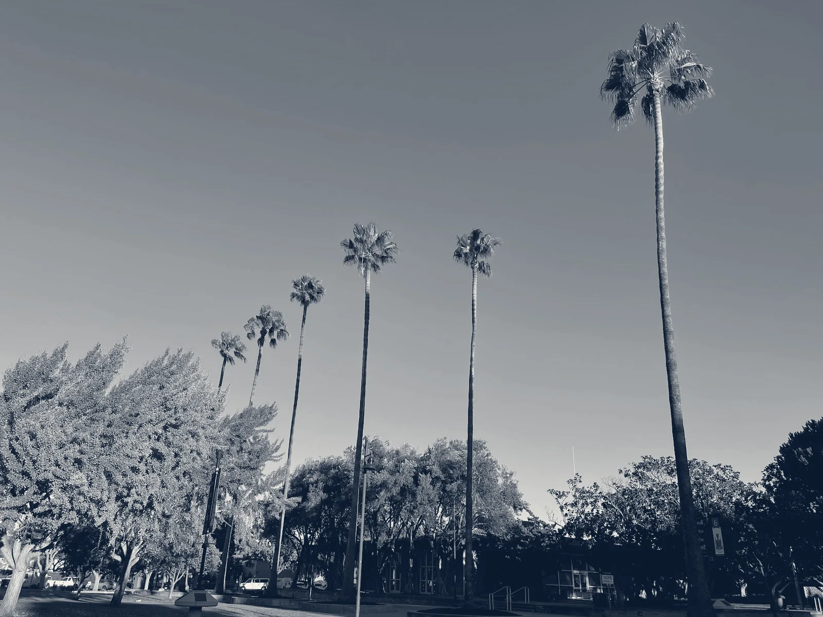 City of Santa Clara City Hall — Santa Clara, California