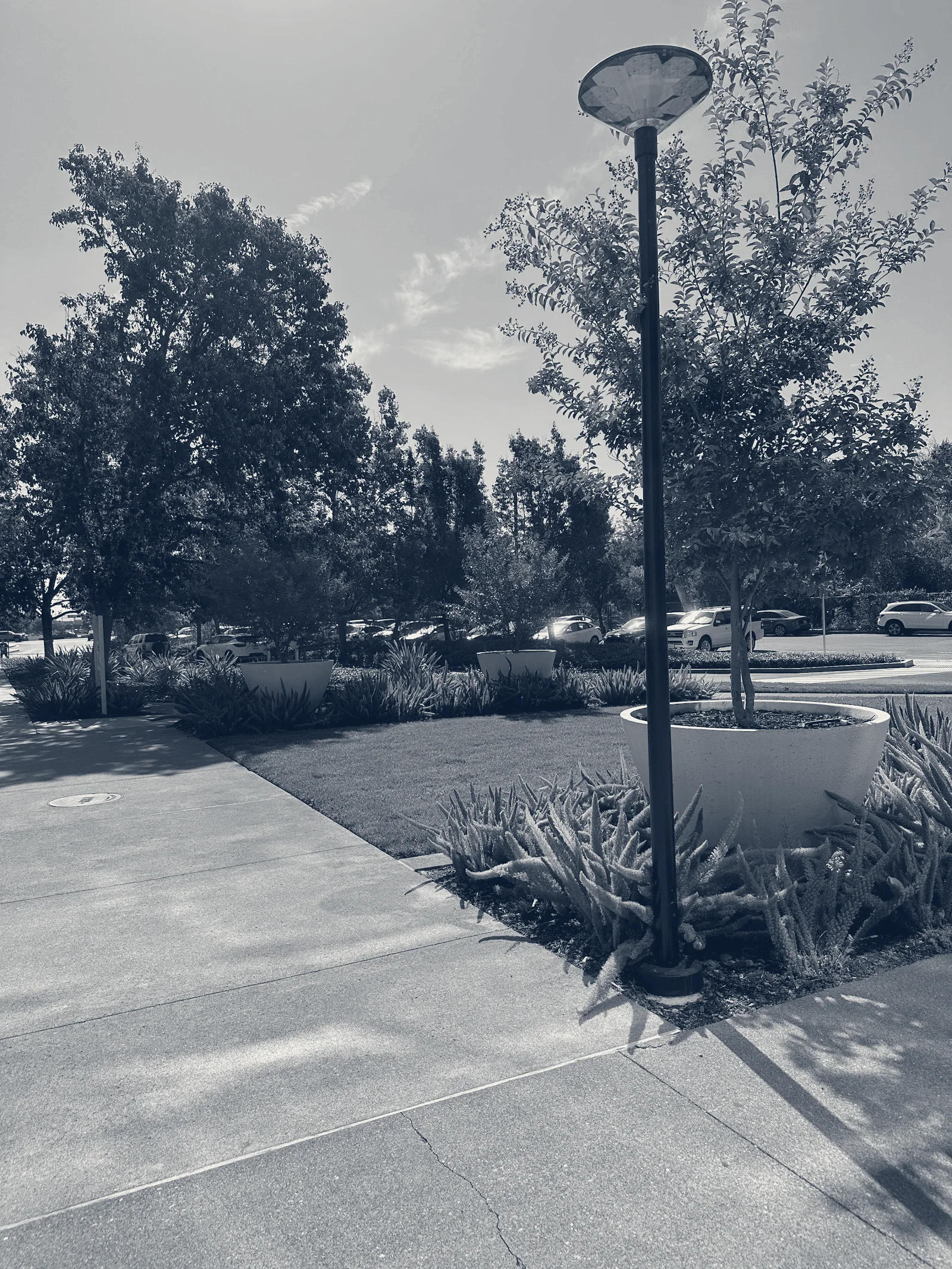 IHSS | San Jose — San Jose, California