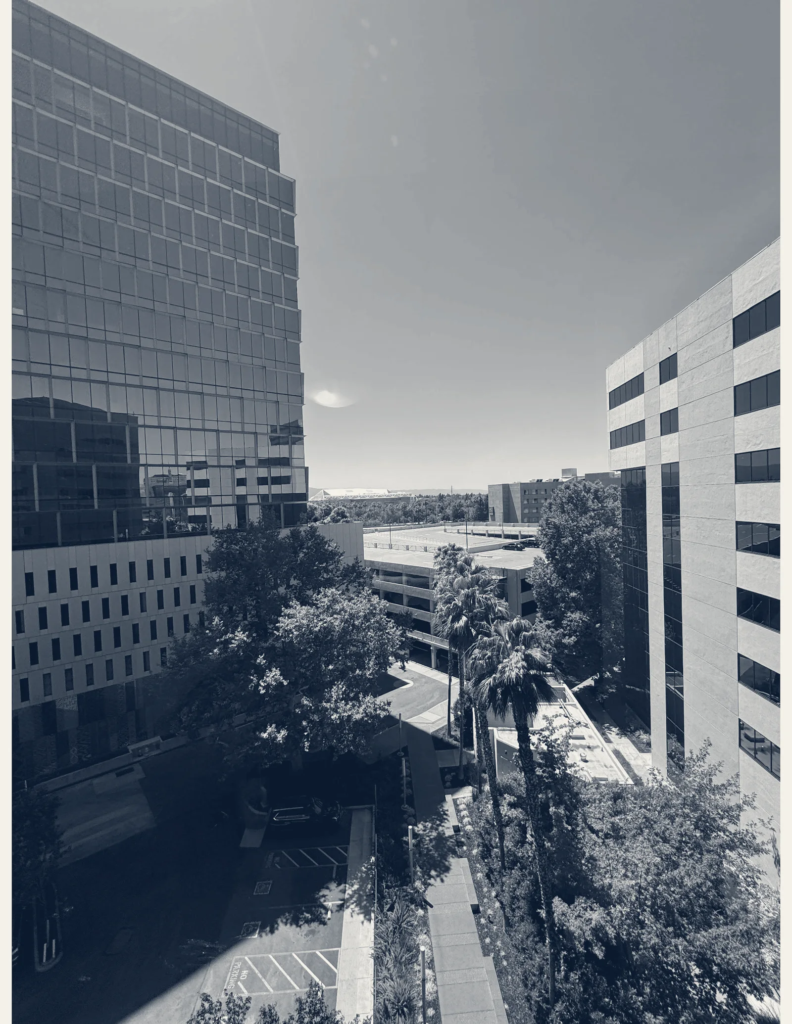Risah Collective — San Jose, California