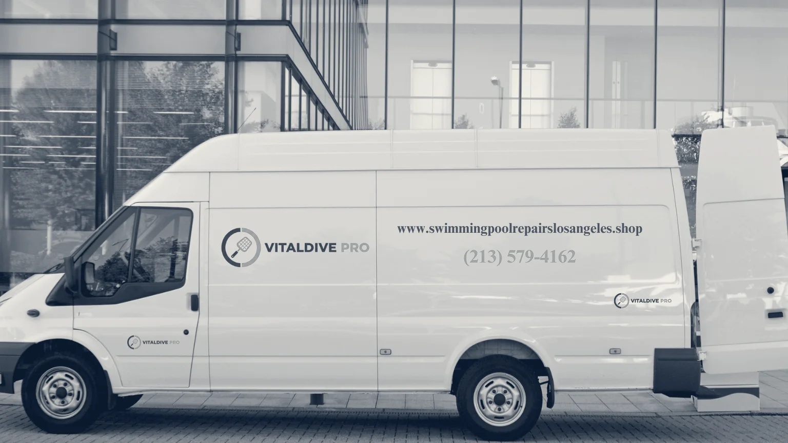 VitalDive Pro — Los Angeles, California