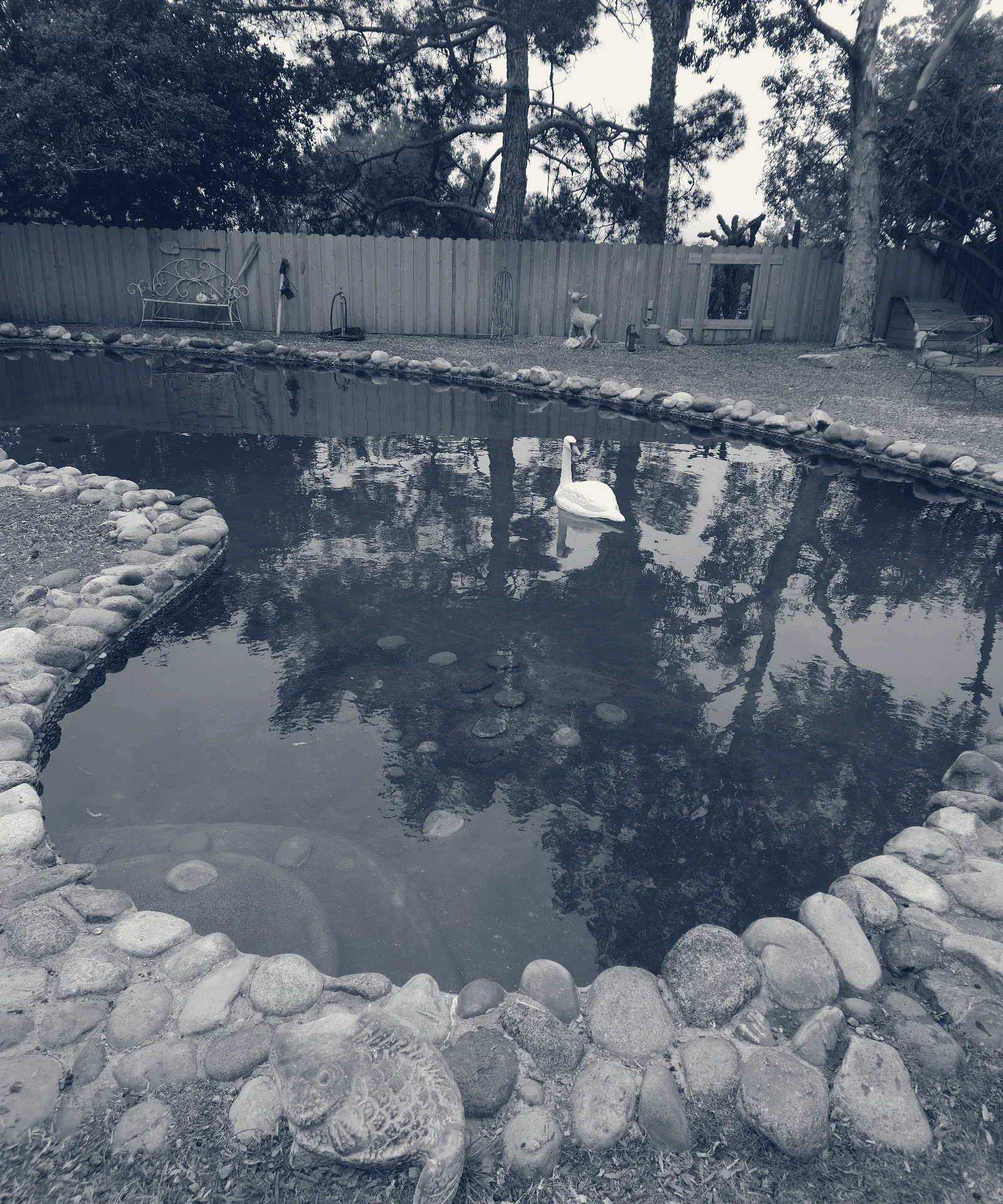 Crescenta Valley Pools — La Crescenta-Montrose, California
