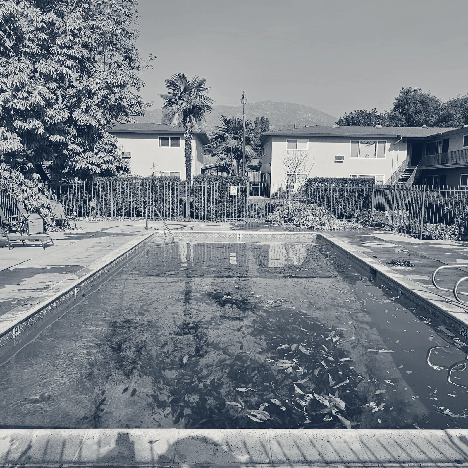 Stone Pool Service — Arcadia, California