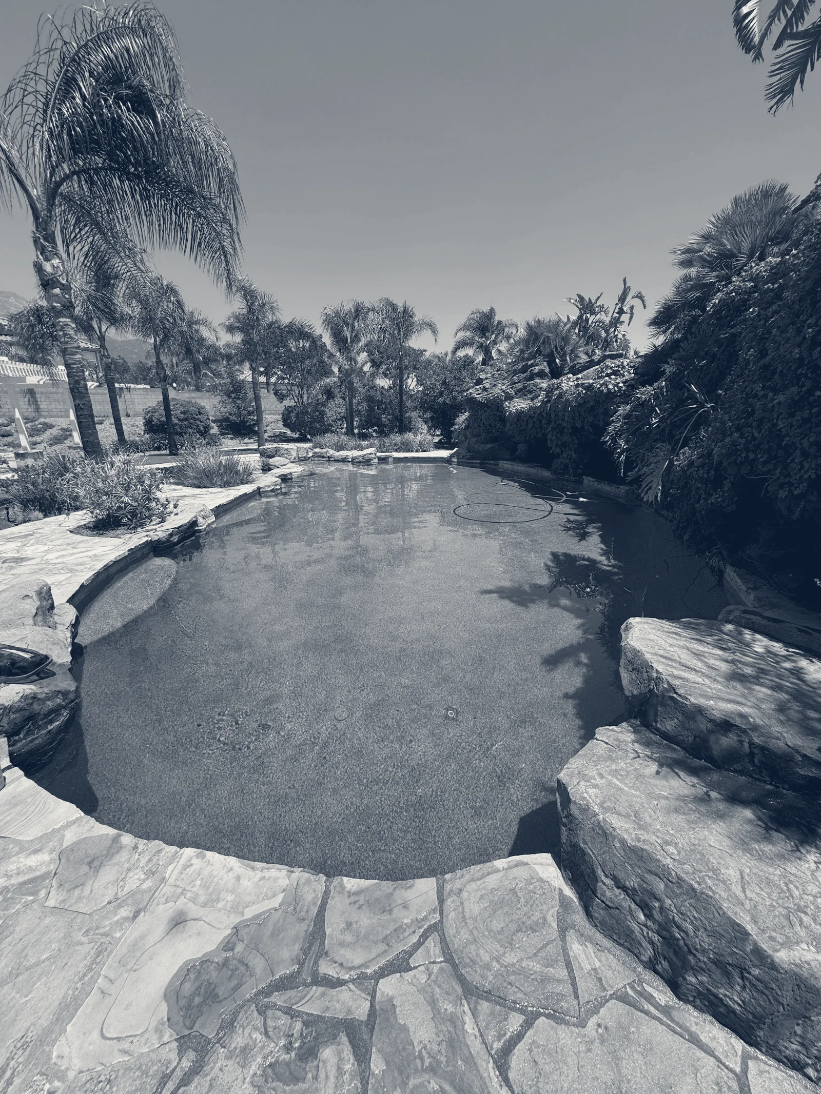 Pool Cleaning Service and Maintenance — Claremont, California