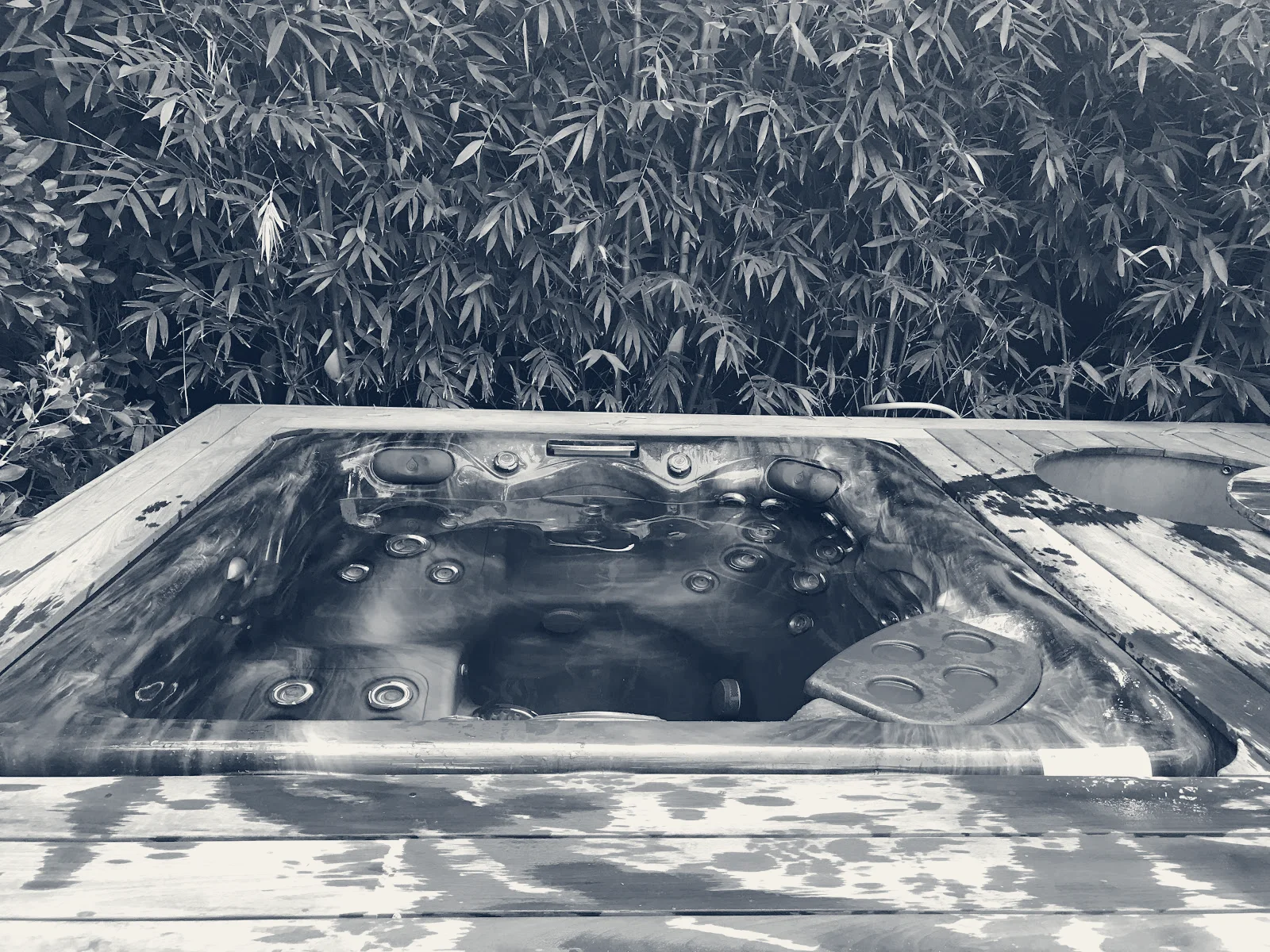 Level up pool and spa service — Los Angeles, California