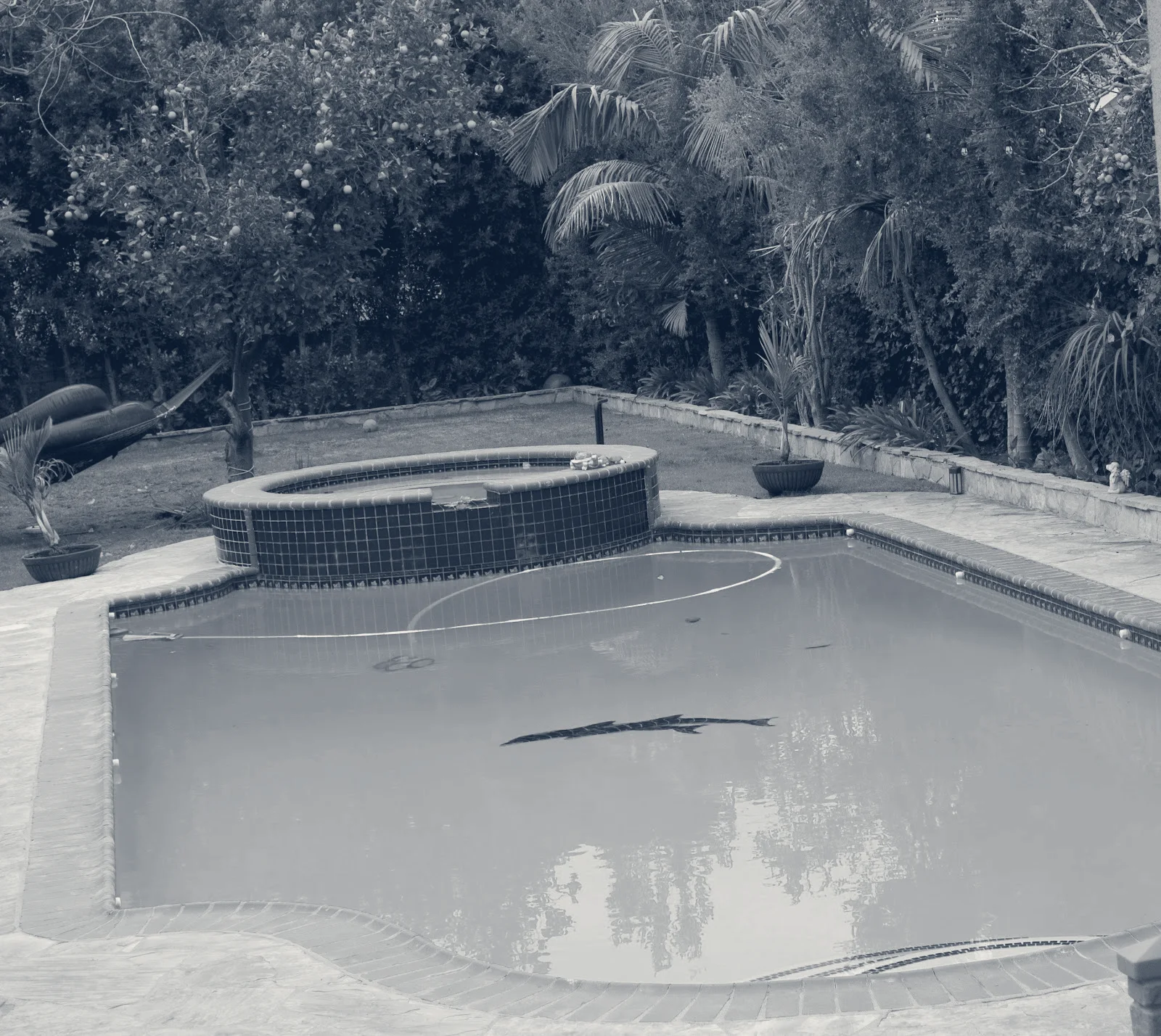 West Cali Pool Services — Glendale, California