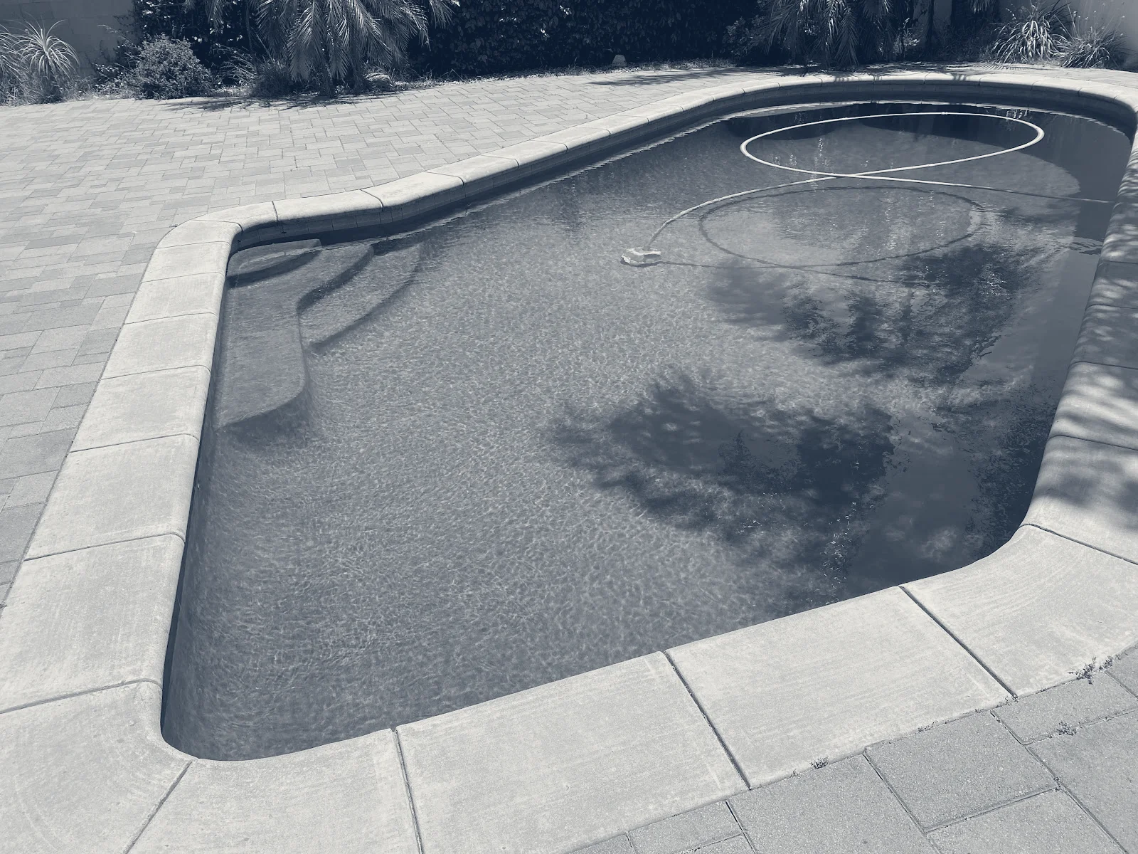 ORCA Pools Claremont — Claremont, California