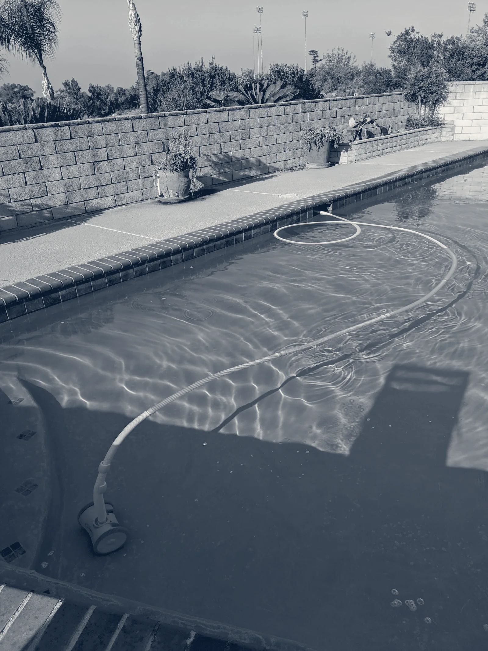 ORCA Pools Rancho Cucamonga — Rancho Cucamonga, California