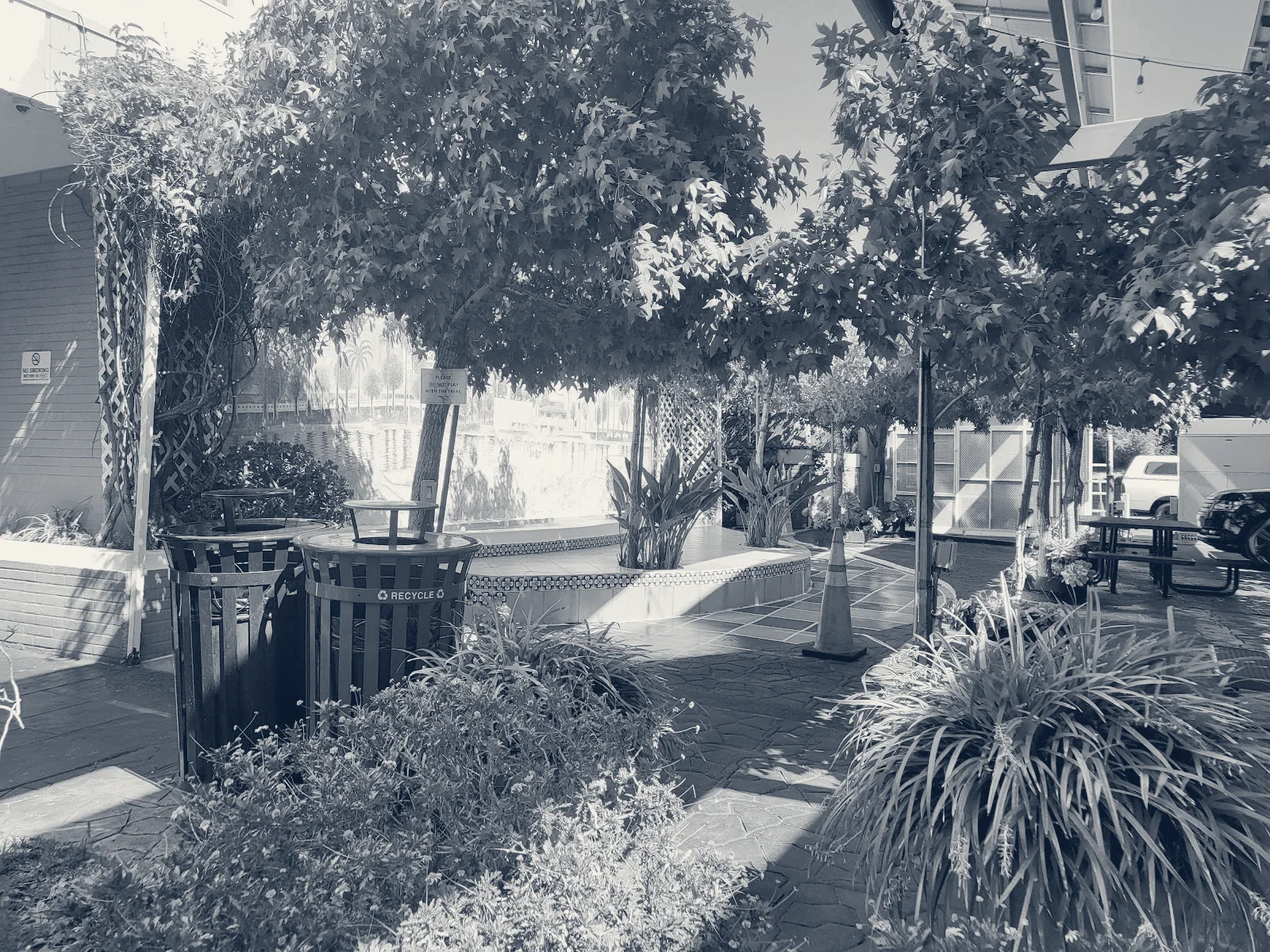 DM's Live Scan and Services — Los Angeles, California