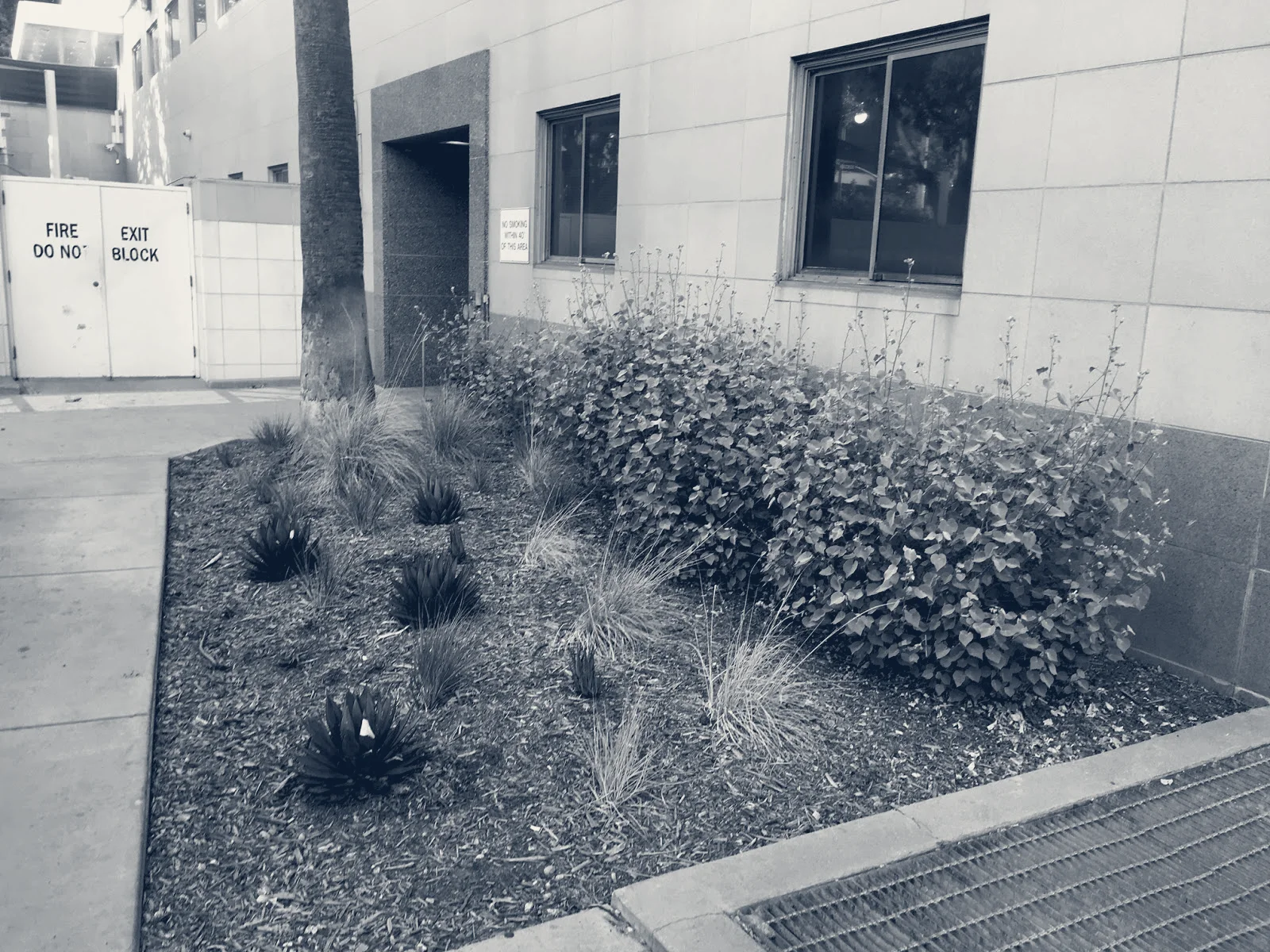 General Services Department — Los Angeles, California