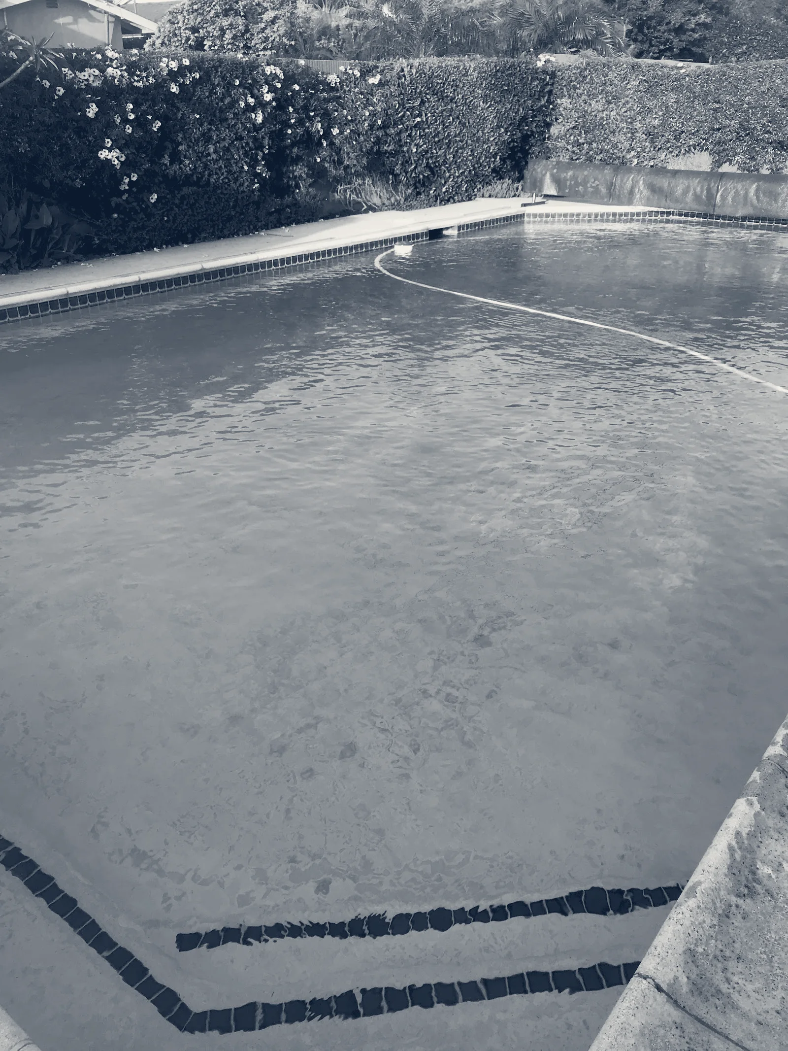First Class Pool Services — Paramount, California