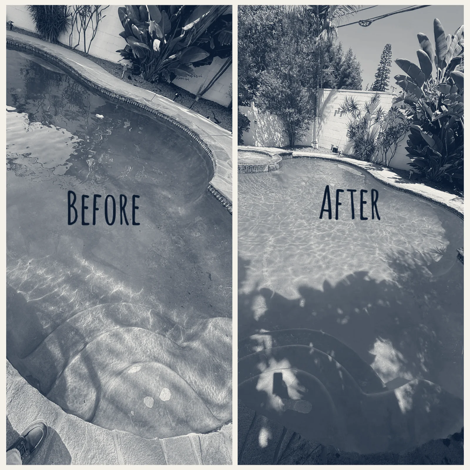 Sweet Dive Pool Services — Signal Hill, California