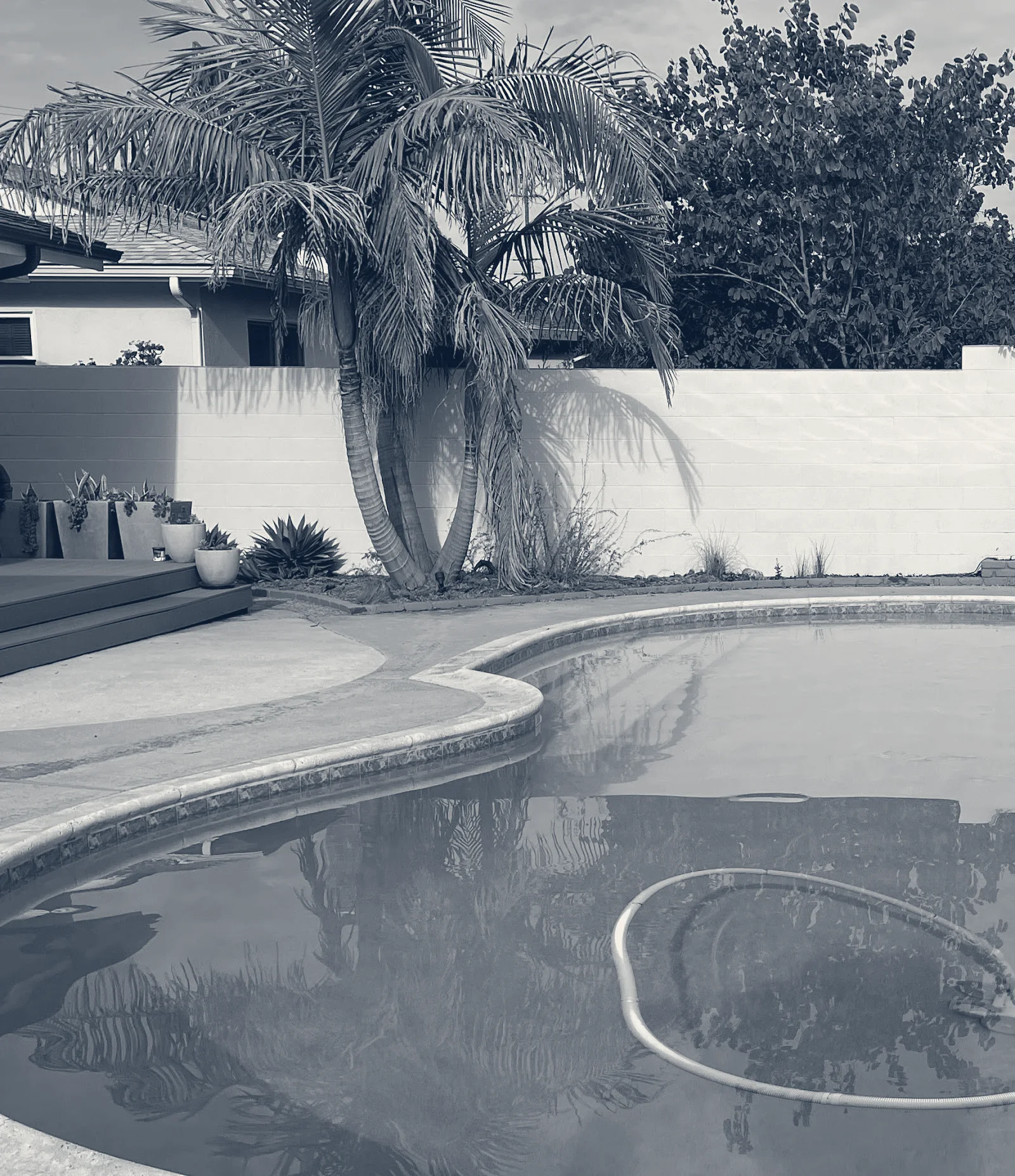 Adam's Pool and Spa Service LLC — Paramount, California