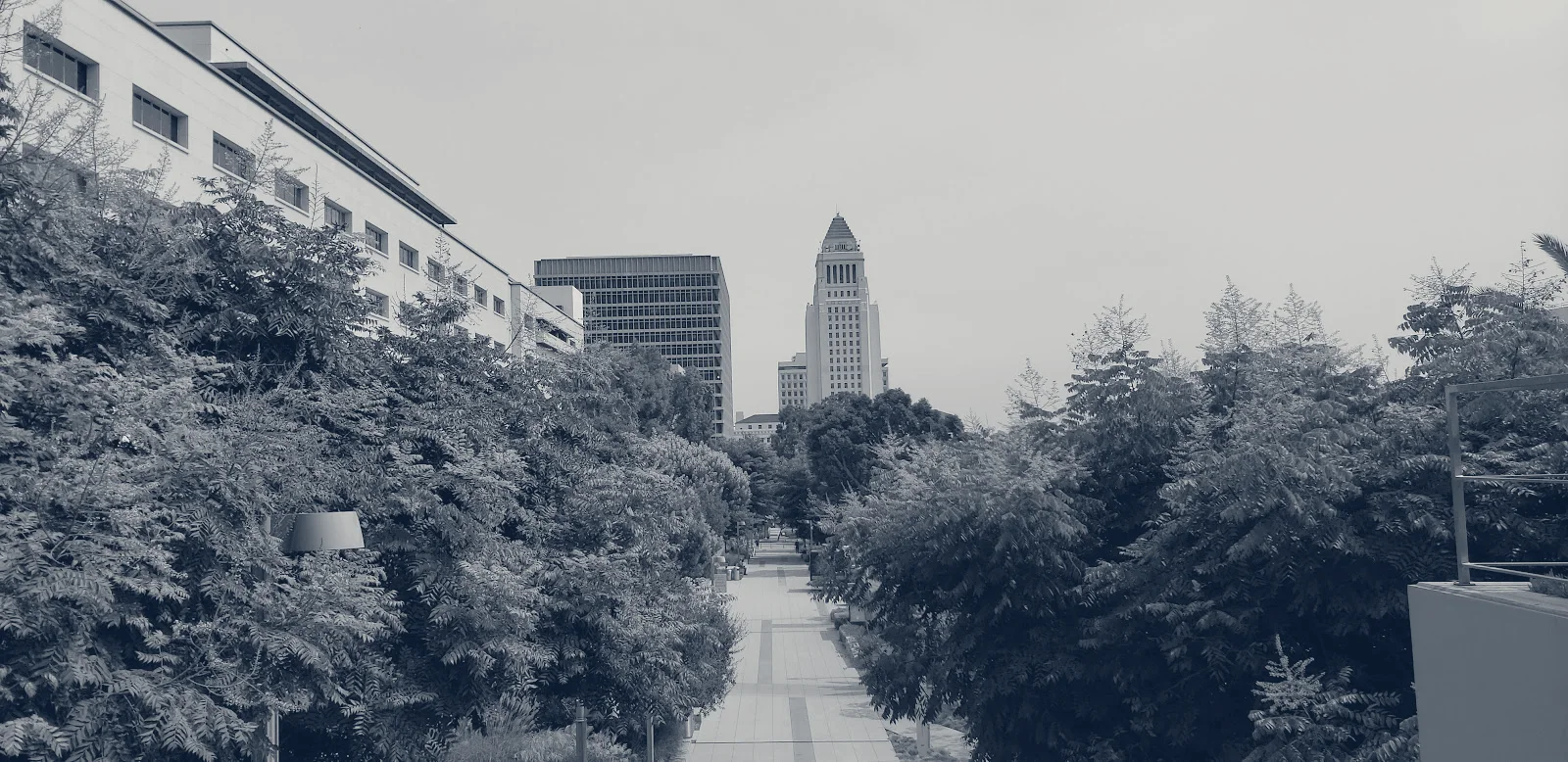 Los Angeles City Clerk — Los Angeles, California