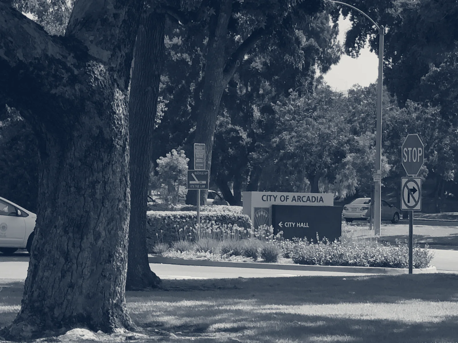 Arcadia City Hall — Arcadia, California