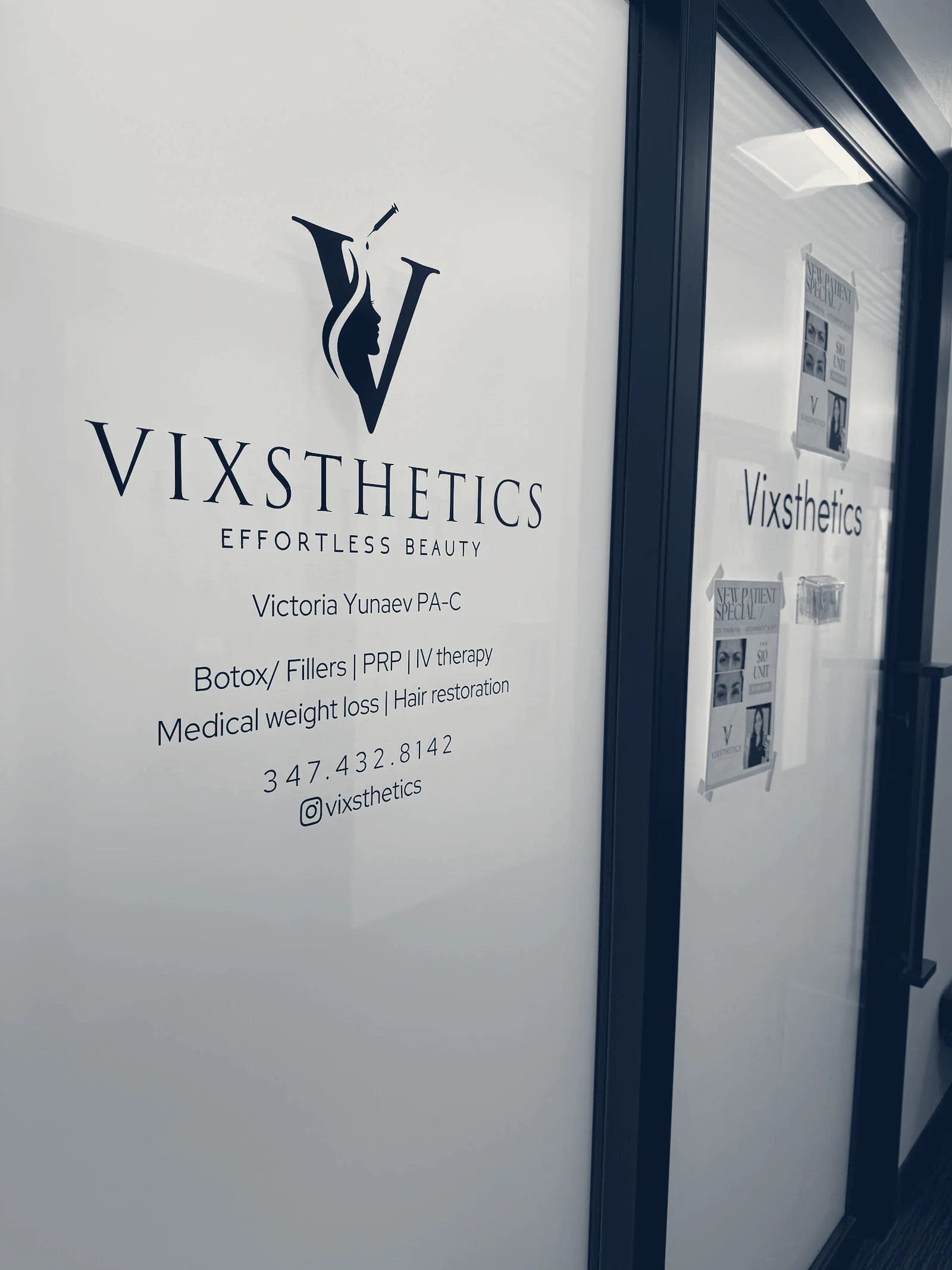 Vixsthetics — Merrick, New York