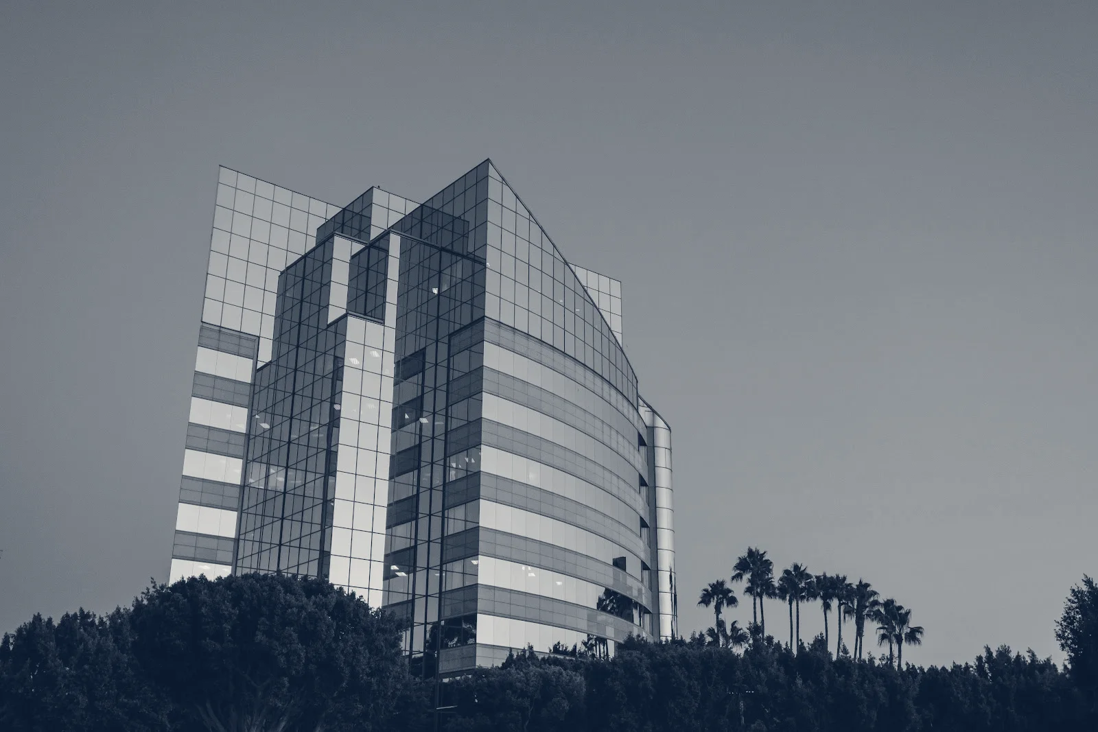 One Degree Advisors — San Diego, California