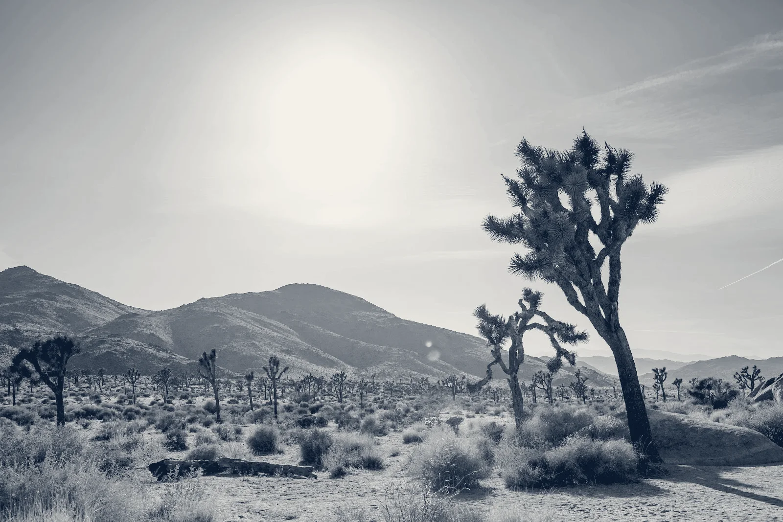 Well-Traveled Wealth — San Diego, California