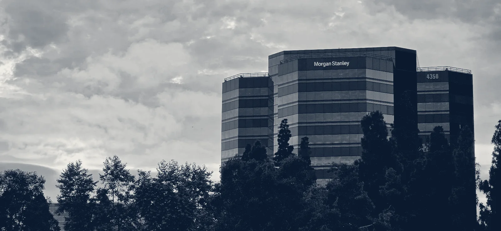 Morgan Stanley Financial Advisors — San Diego, California