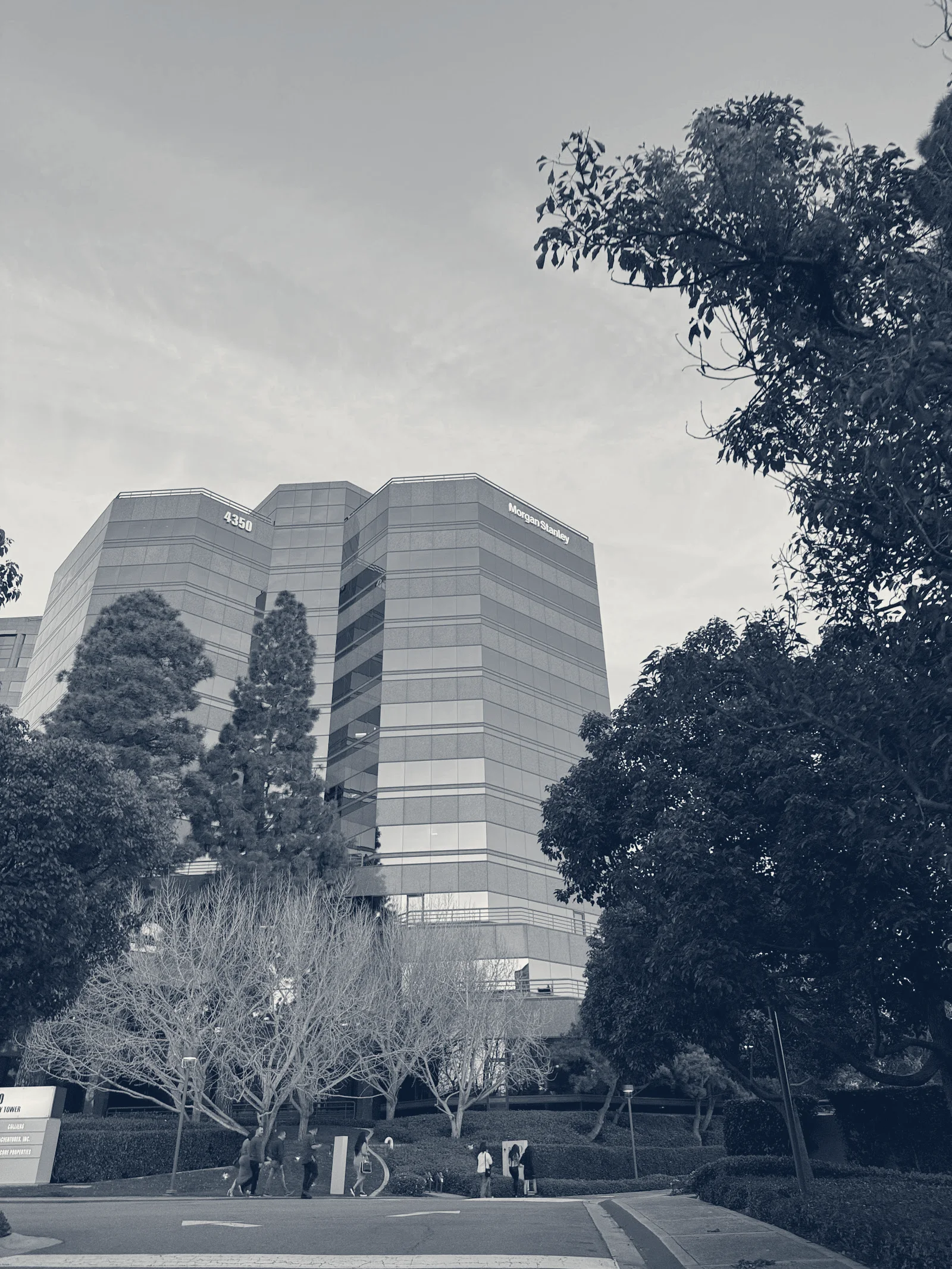 Morgan Stanley Financial Advisors — San Diego, California
